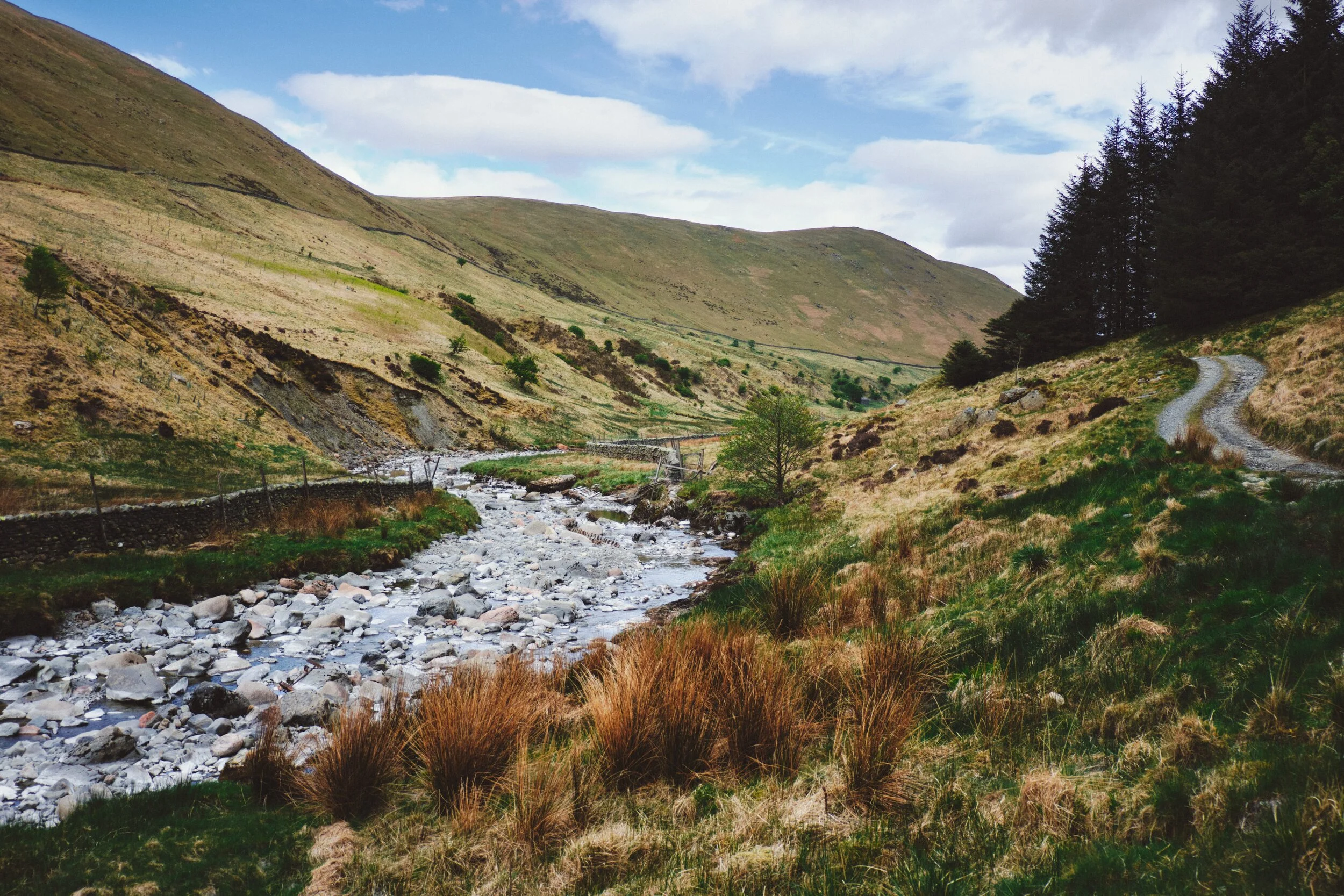 Borrow Beck, which runs through the valley, looking thoroughly parched. England could really do with a good week of solid rain.