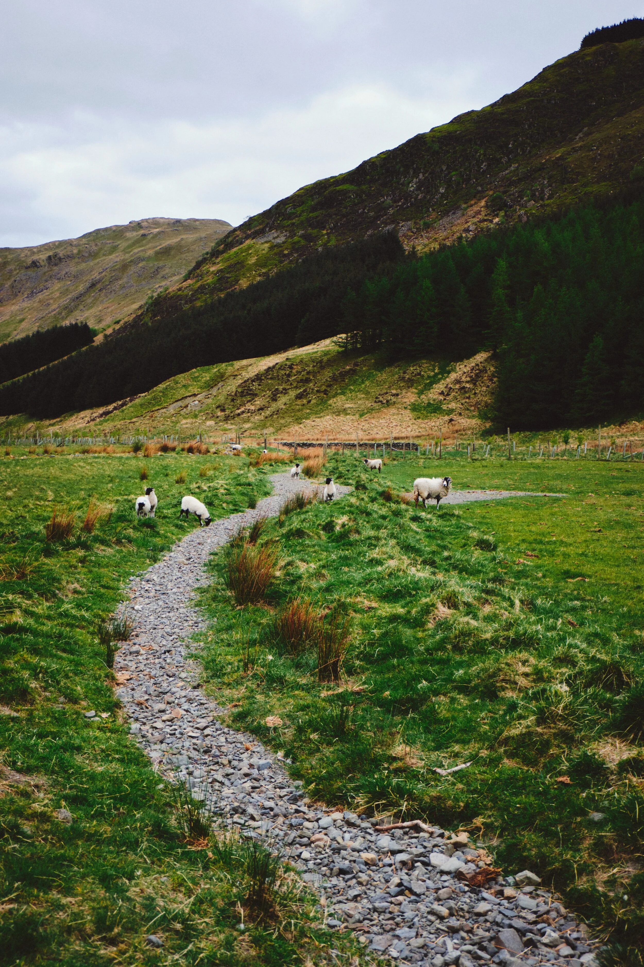 One of the numerous becks that criss-cross the valley, totally dried up.
