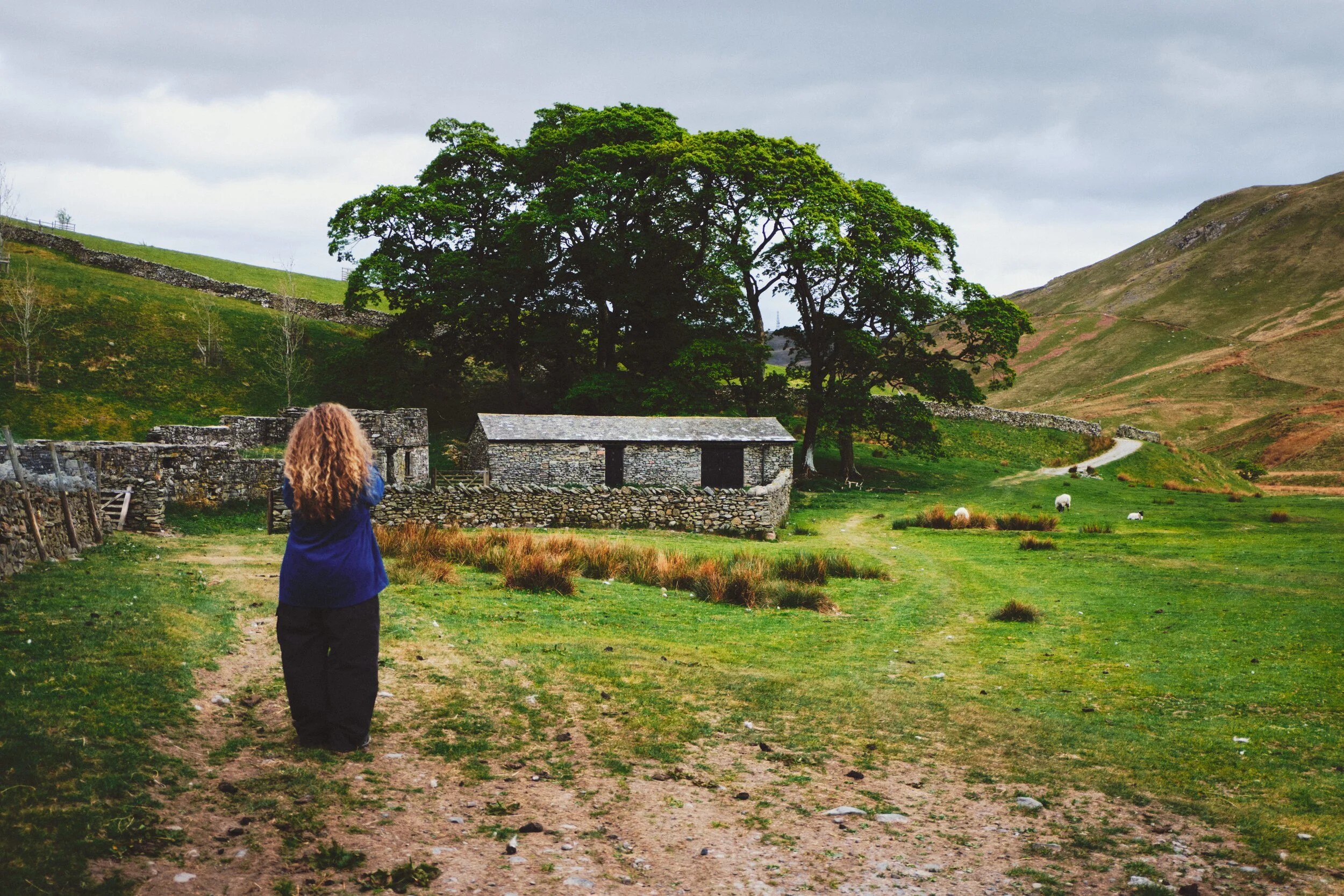 Another lovely scene we stopped to explore and photo; this old barn with its own little woodland.
