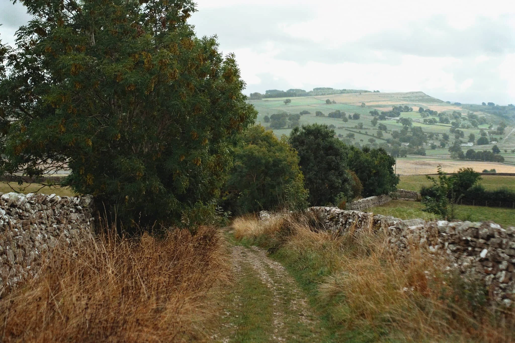  We paused on our way up the bridleway to admire the light and views towards Burtree Scar. 
