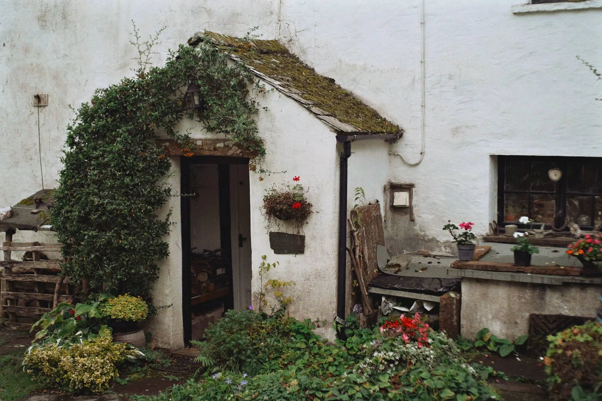  Helton has some proper bonny cottages. 