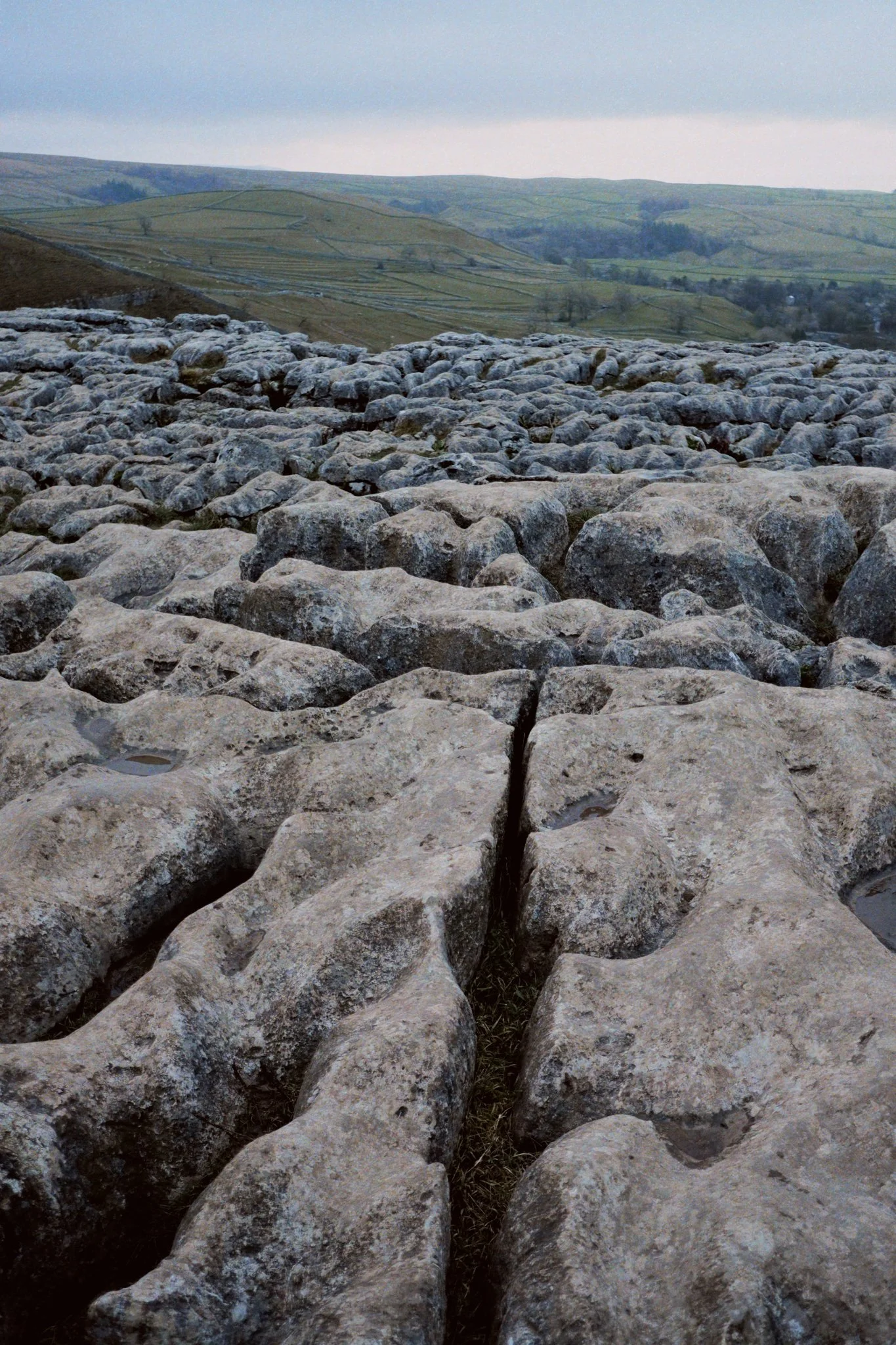 Finally, we make it above Malham Cove. Whilst the main cliff face of the Cove is impressive all by itself, the limestone pavement above—with its clints and grikes—is a different world entirely.