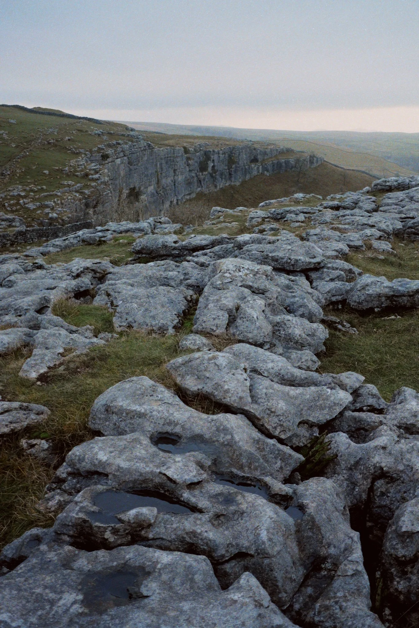 We gingerly hopped our across the clints and grikes of Malham Cove towards its eastern flank, seeking a way towards the footpath that leads to Gordale Scar.
