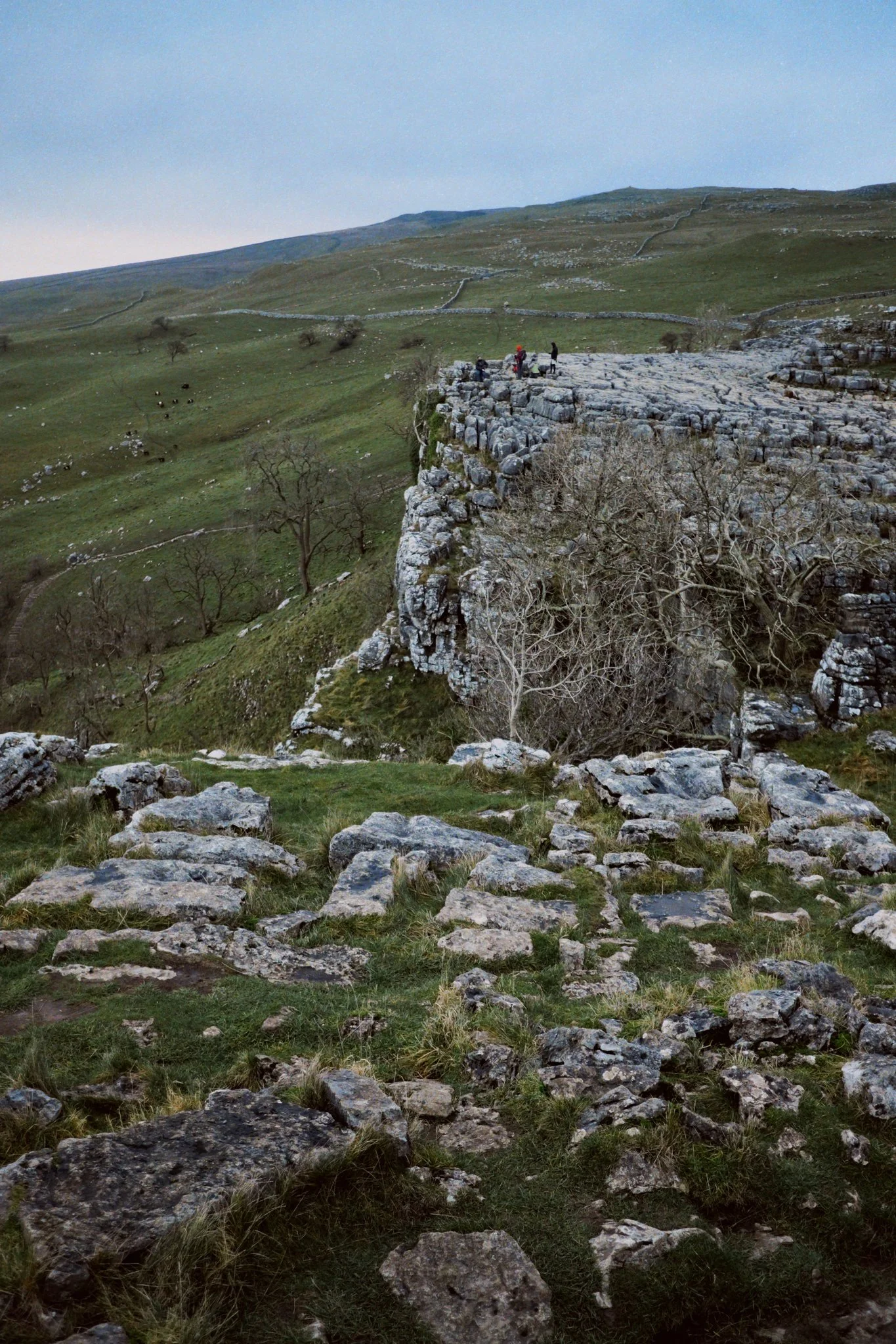 At the eastern shoulder of Malham Cove’s curve we could look all the way back to the main cliff face, and see the tiny little people near its edge.