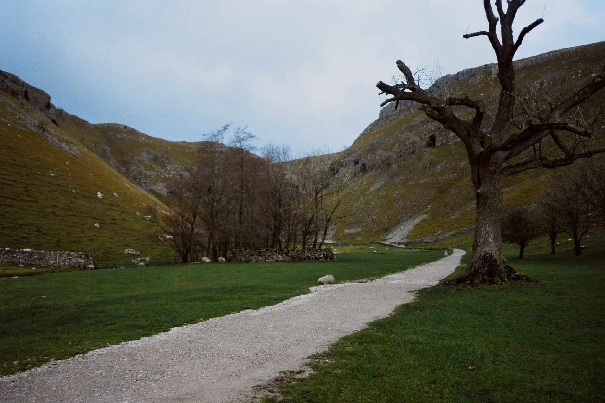 The way into Gordale Scar. At this point of the hike, we were joined by a young South Indian student, who wasn’t entirely sure of the way around the trail back to Malham. He was studying at the University of Central Lancashire in Preston. Nice fellow.