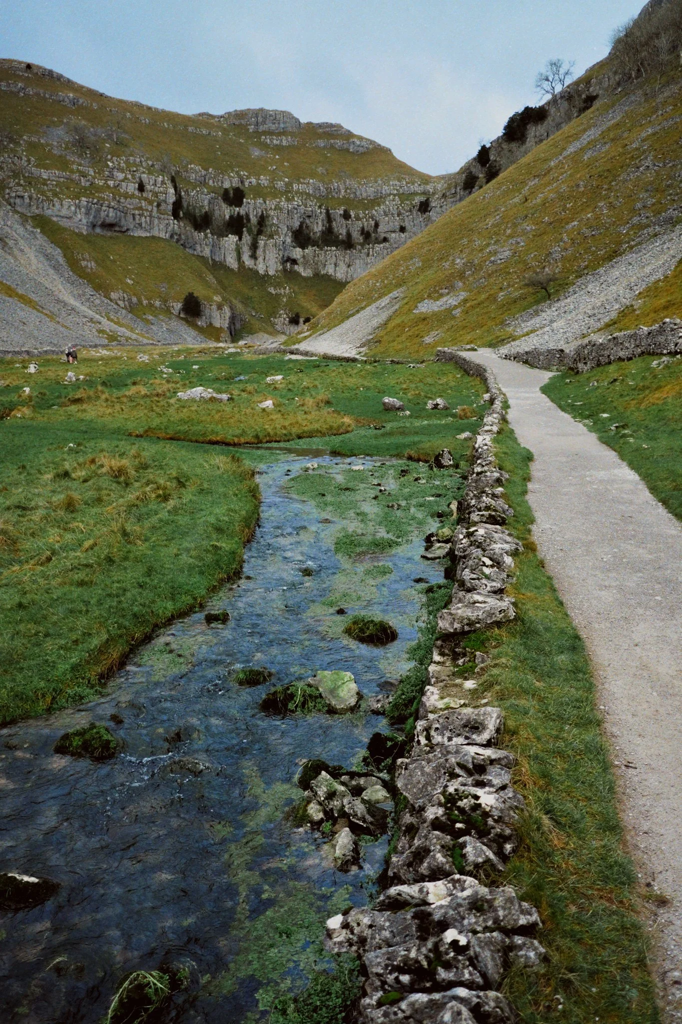 A myriad of colours, even in winter.