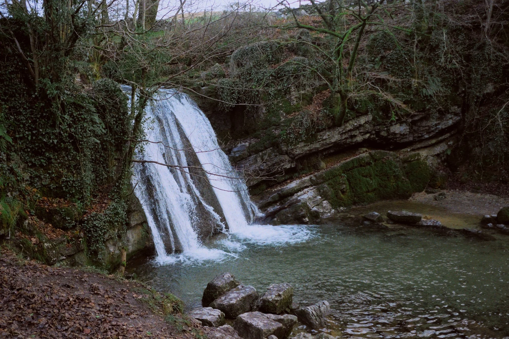 What a wonderful Christmas Day.