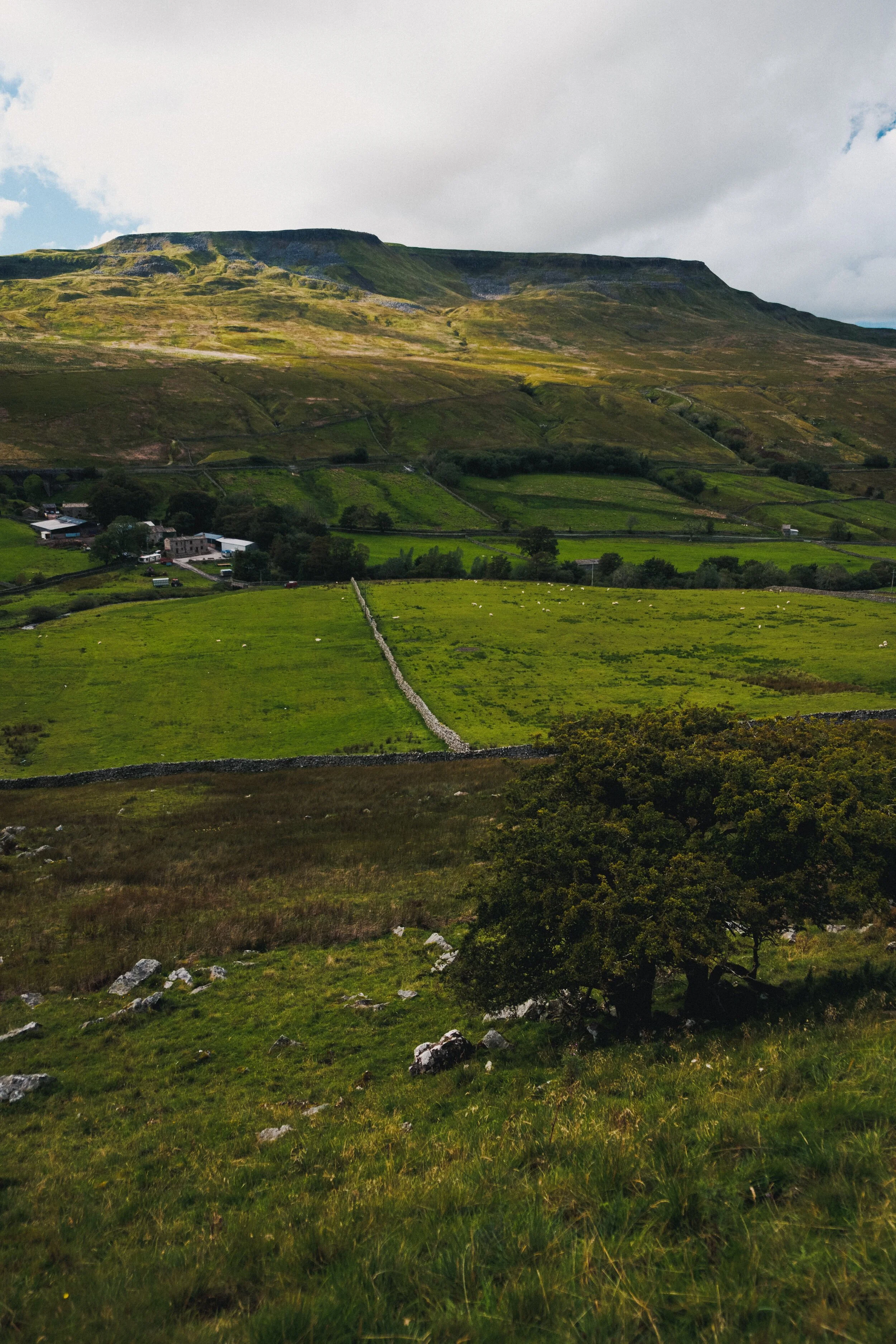 We took a route through Mallerstang that I’d personally never done before, from Hell Gill Force and up onto Slade Edge, which is a small limestone plateau that rises above the middle of the valley.