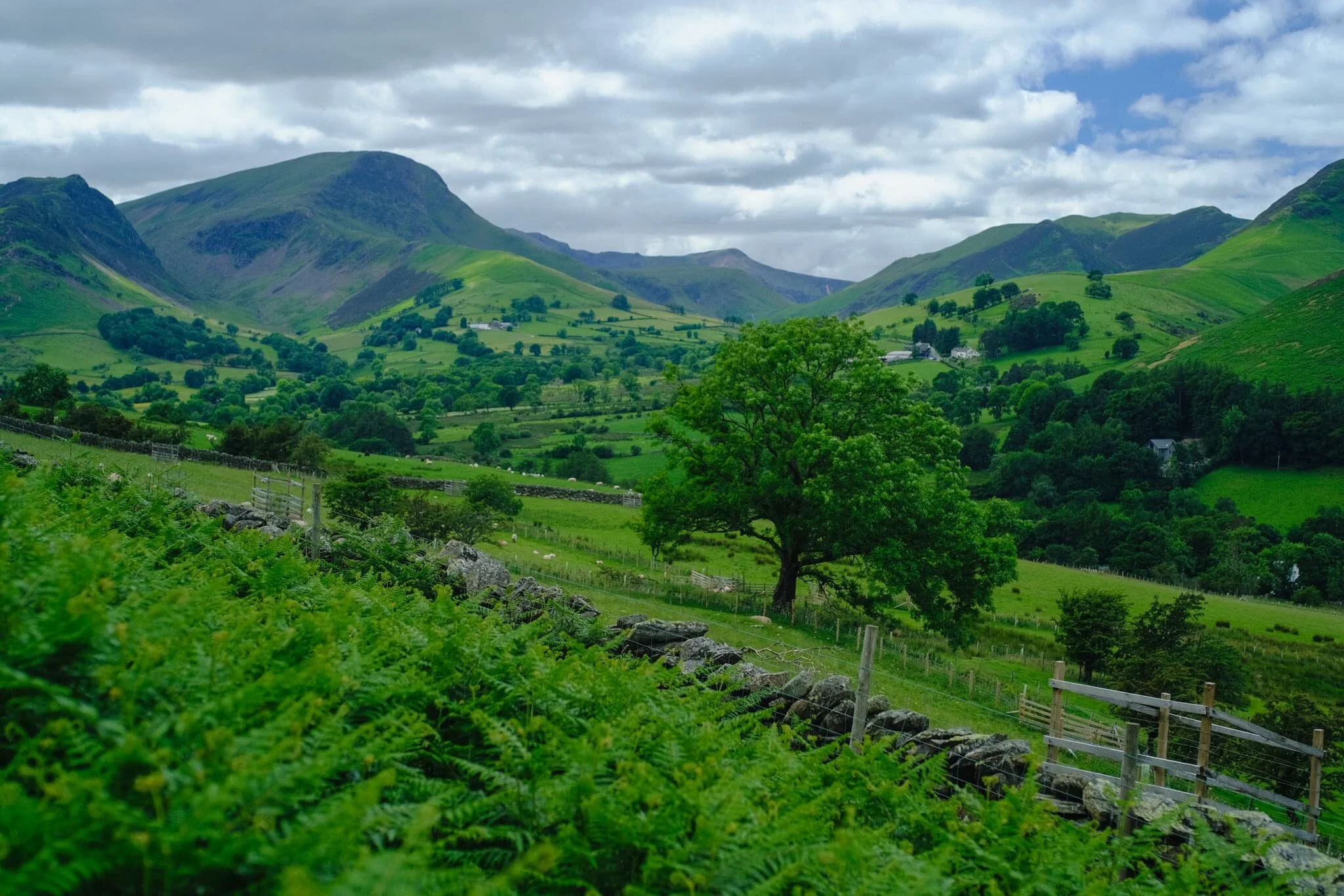  Following the minor road around Catbells&rsquo; western shoulder, the views open up more and more, giving us extensive panoramas of the Newlands fells. 