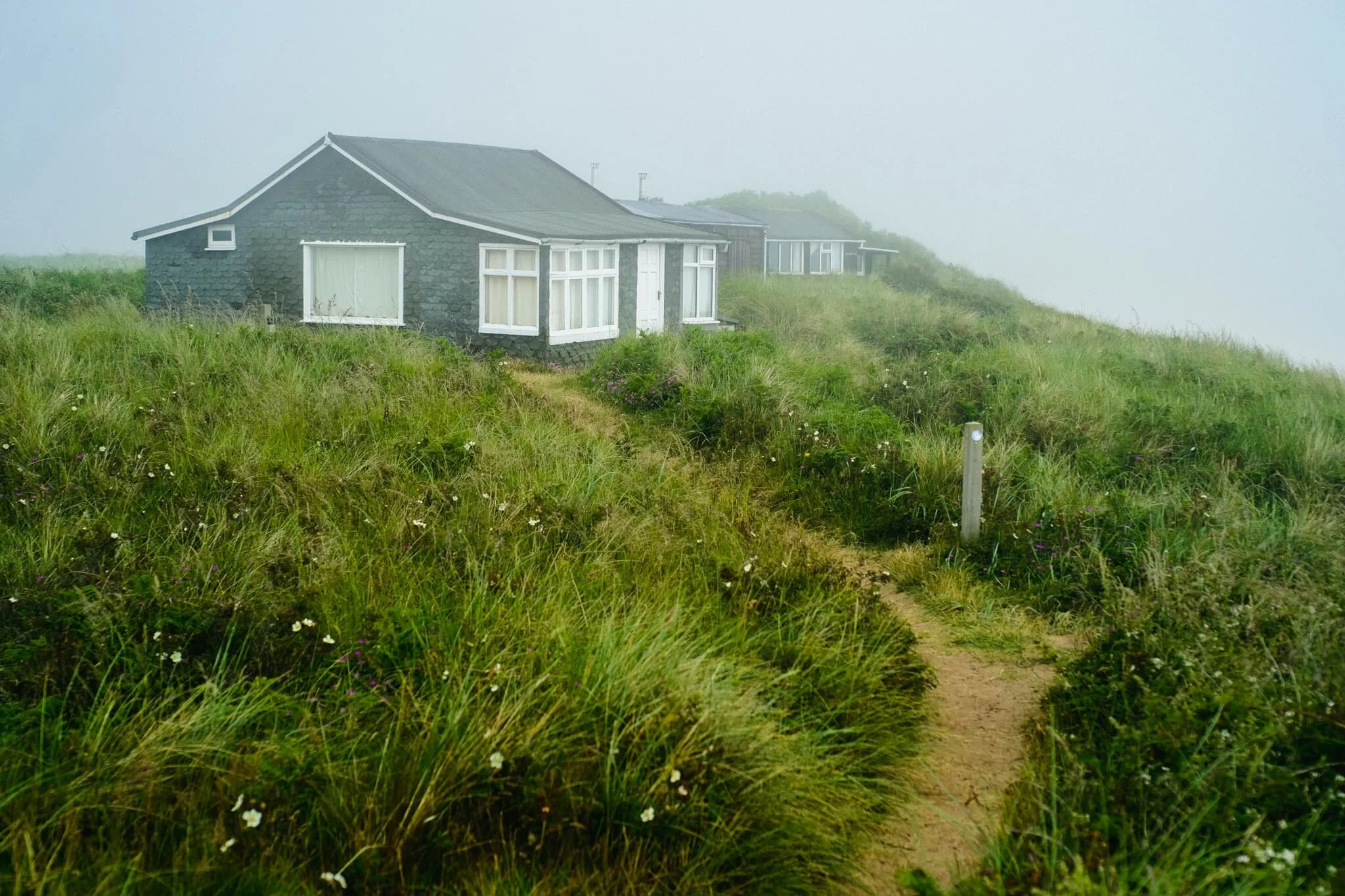 Spooky. Zombie film, anyone?