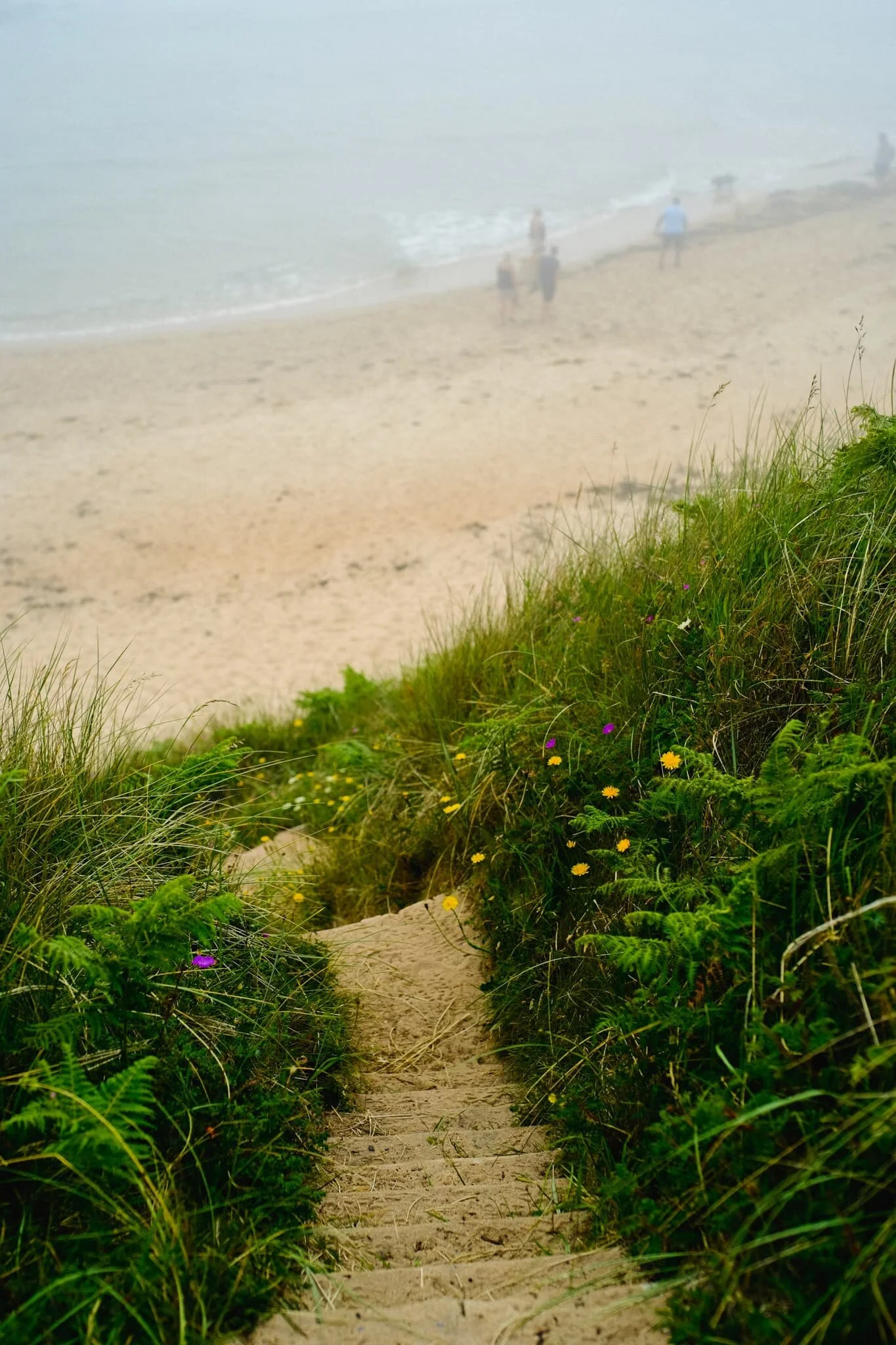 A way down to the sands of Embleton Bay, but my eye was caught by the people walking along the beach, appearing like ghosts as the haar rolled in off the sea.