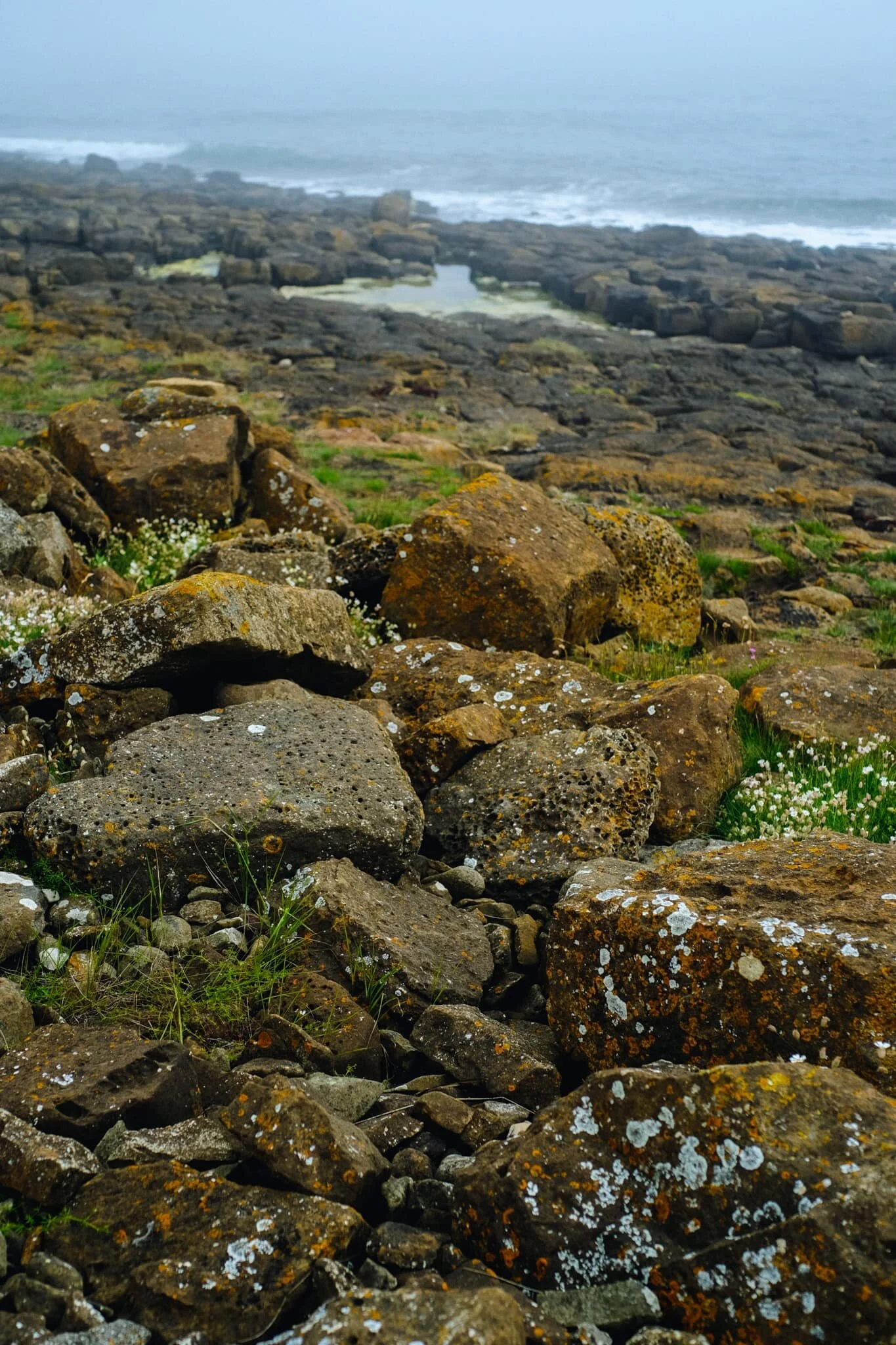 North of the village we break away from St. Oswald’s Way and take the private road east towards the coastline, curious to see what was here.