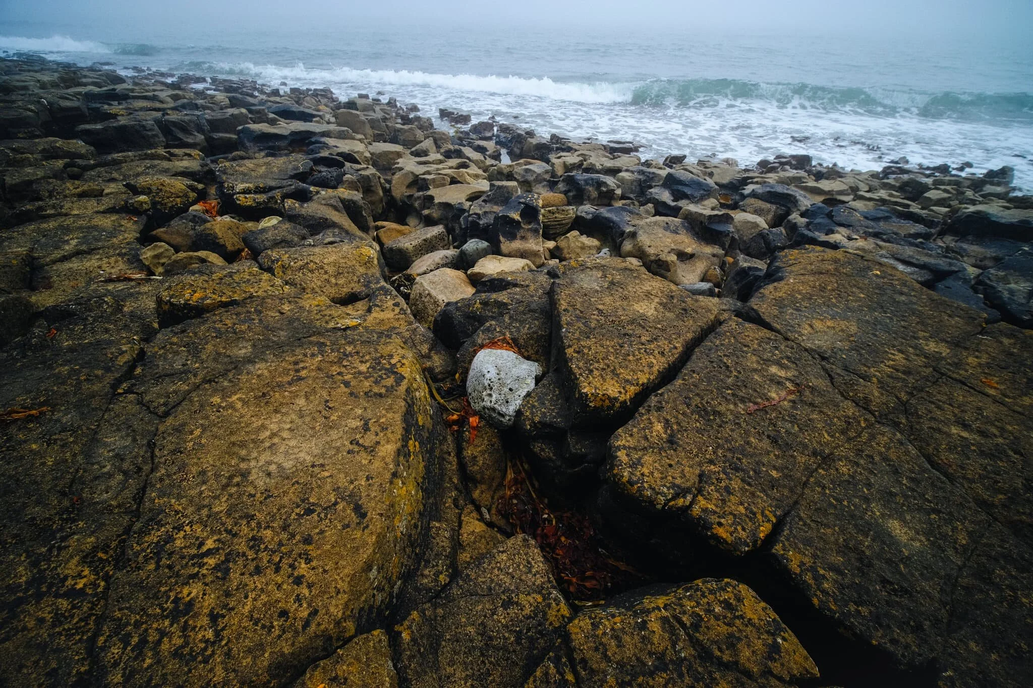 Clints and grikes of volcanic basalt rock provided lovely textures and lines for playing around with compositions.