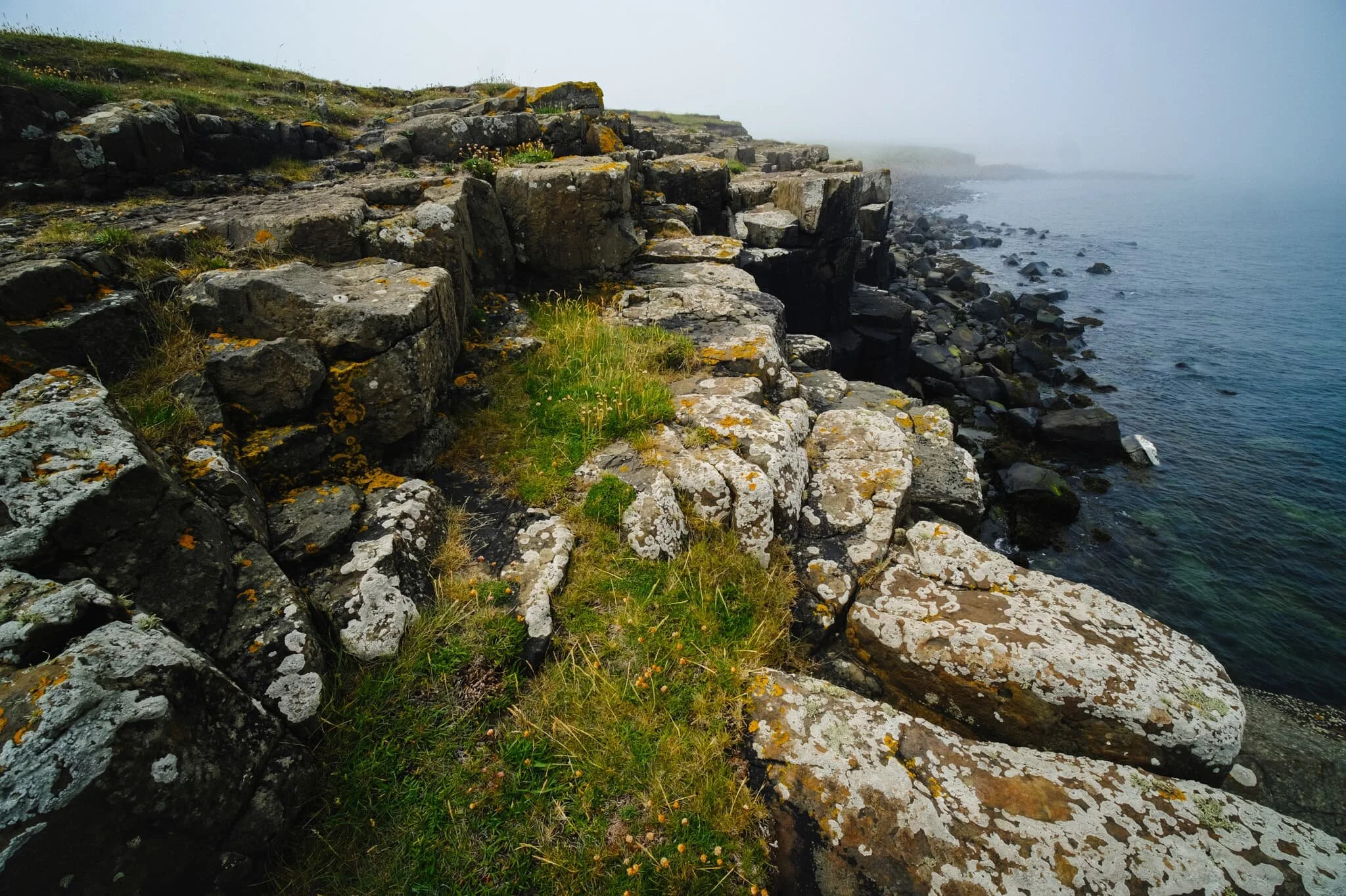 Grass and lichen provide gorgeous colour contrast against the azure water and blue fog.