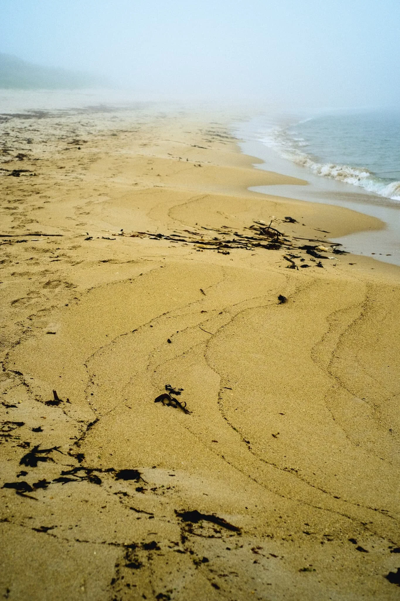 The retreating tide left behind these following lines and curves that I had to make a composition of.