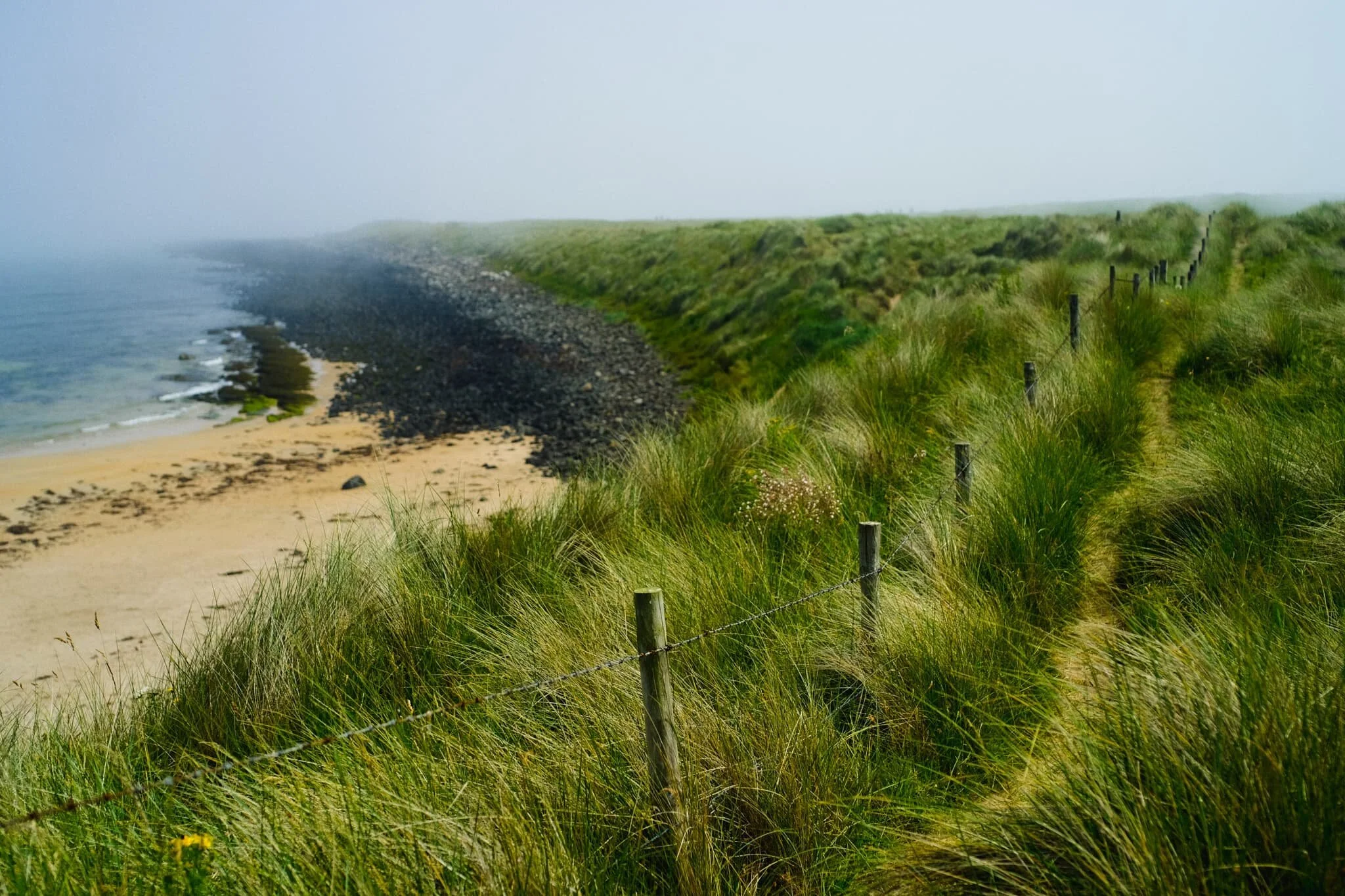 The dunes around Snook Point make for some lovely views. At this point the sun even threatened to break through the haar.
