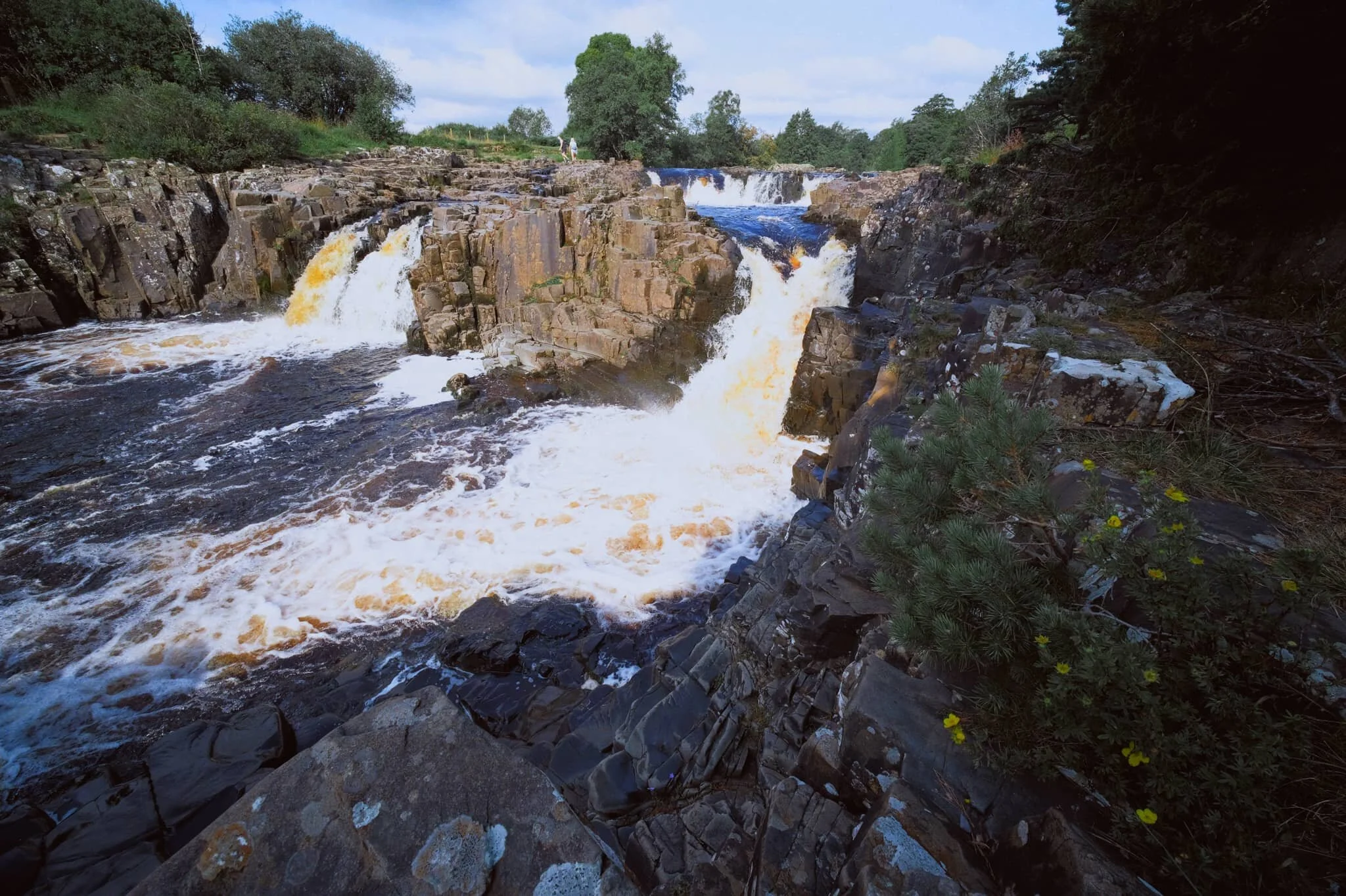 I clambered around the columns and cliffs of whin sill to get to the northern bank of the Tees for this view of the main falls of Low Force. The morning’s light was wonderful and I didn’t want to miss out.