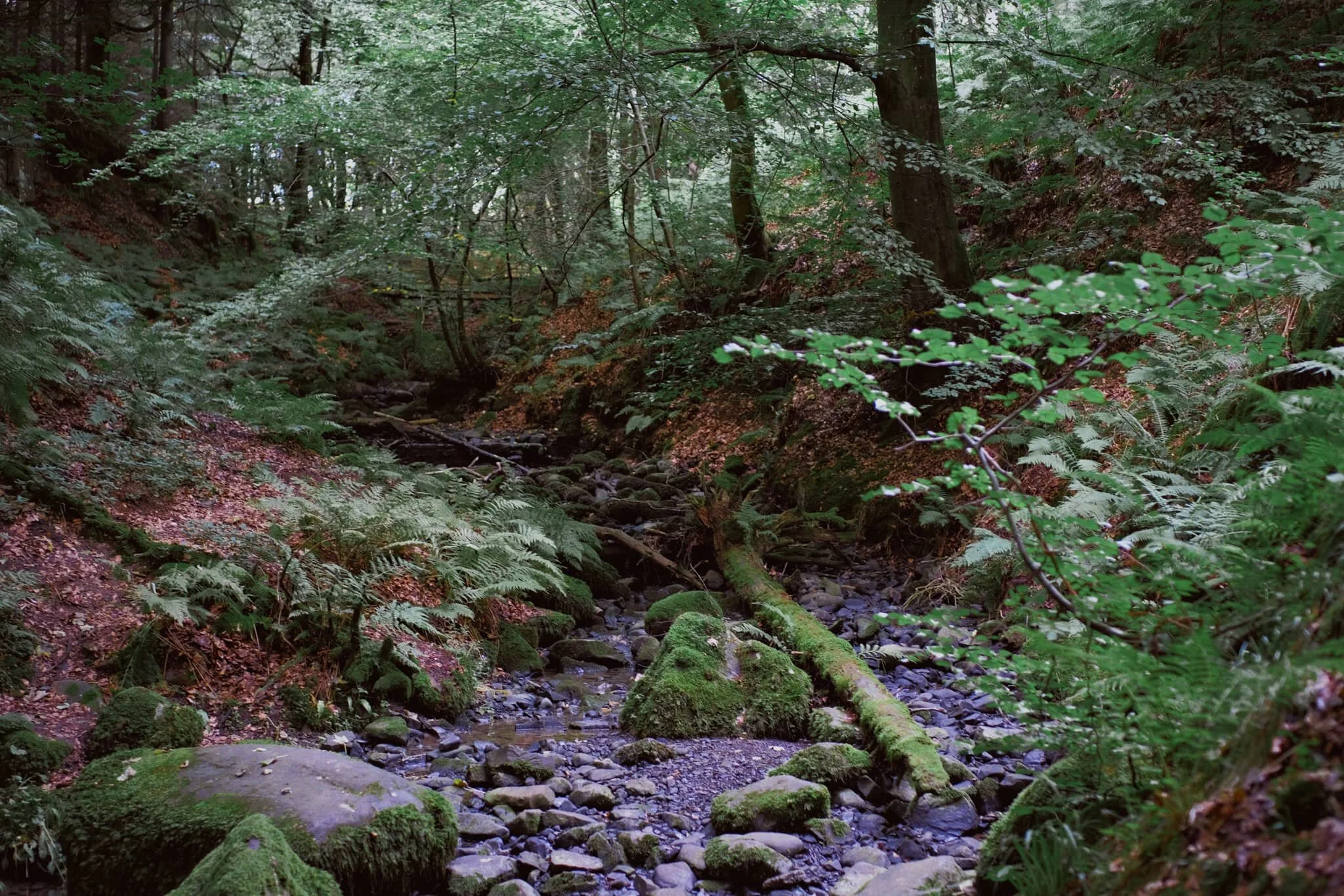 After paying our entrance fee (£2 per adult, very reasonable), we followed the path through the woodlands of the Raby Estate. Already, we could hear the booming sound of the giant waterfall, High Force.