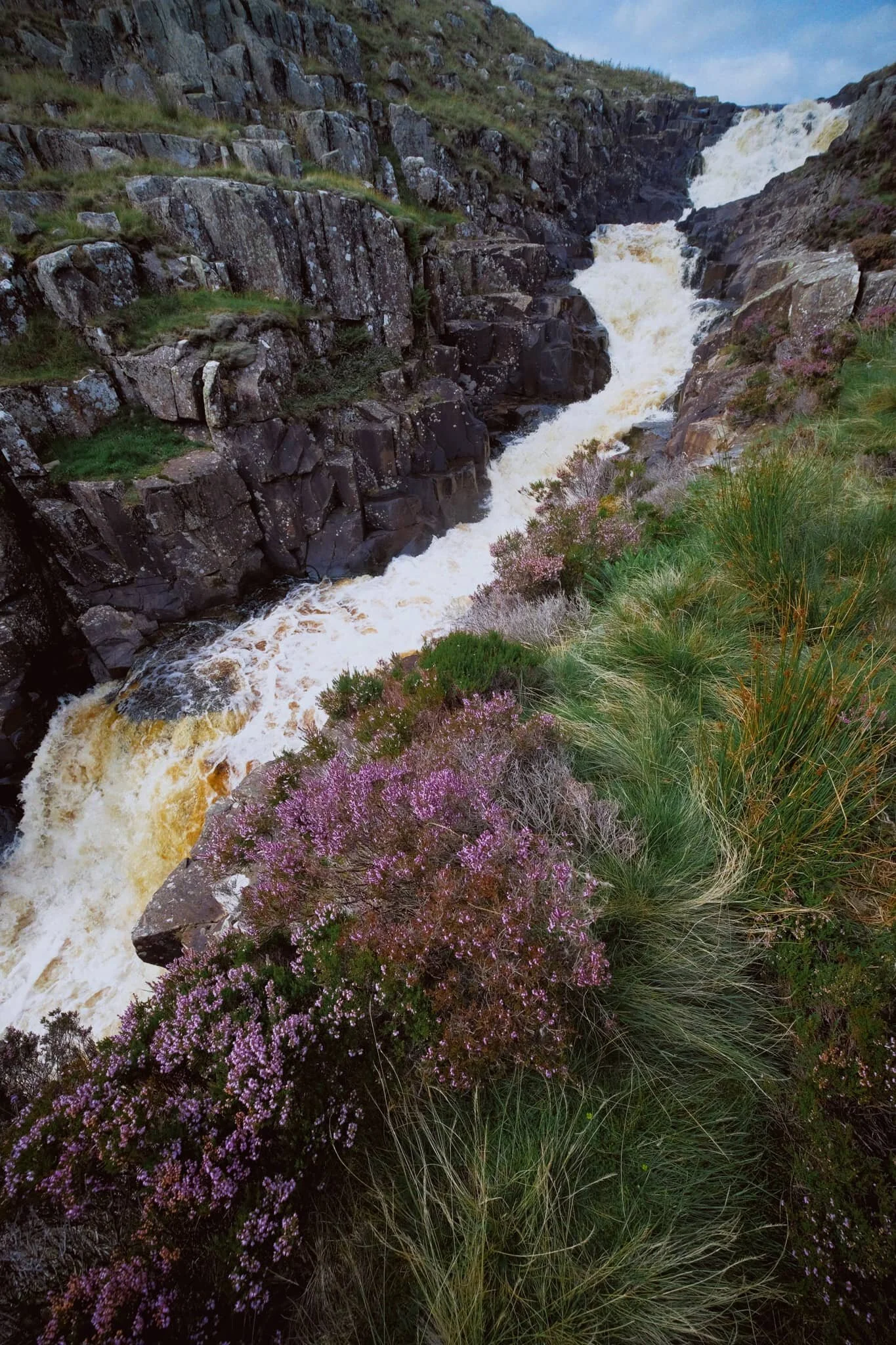 As the gorge sheltered us from the wind, this provided the necessary moist and still conditions for clouds of midges to form everywhere . They duly took advantage and started ravaging our bare flesh.