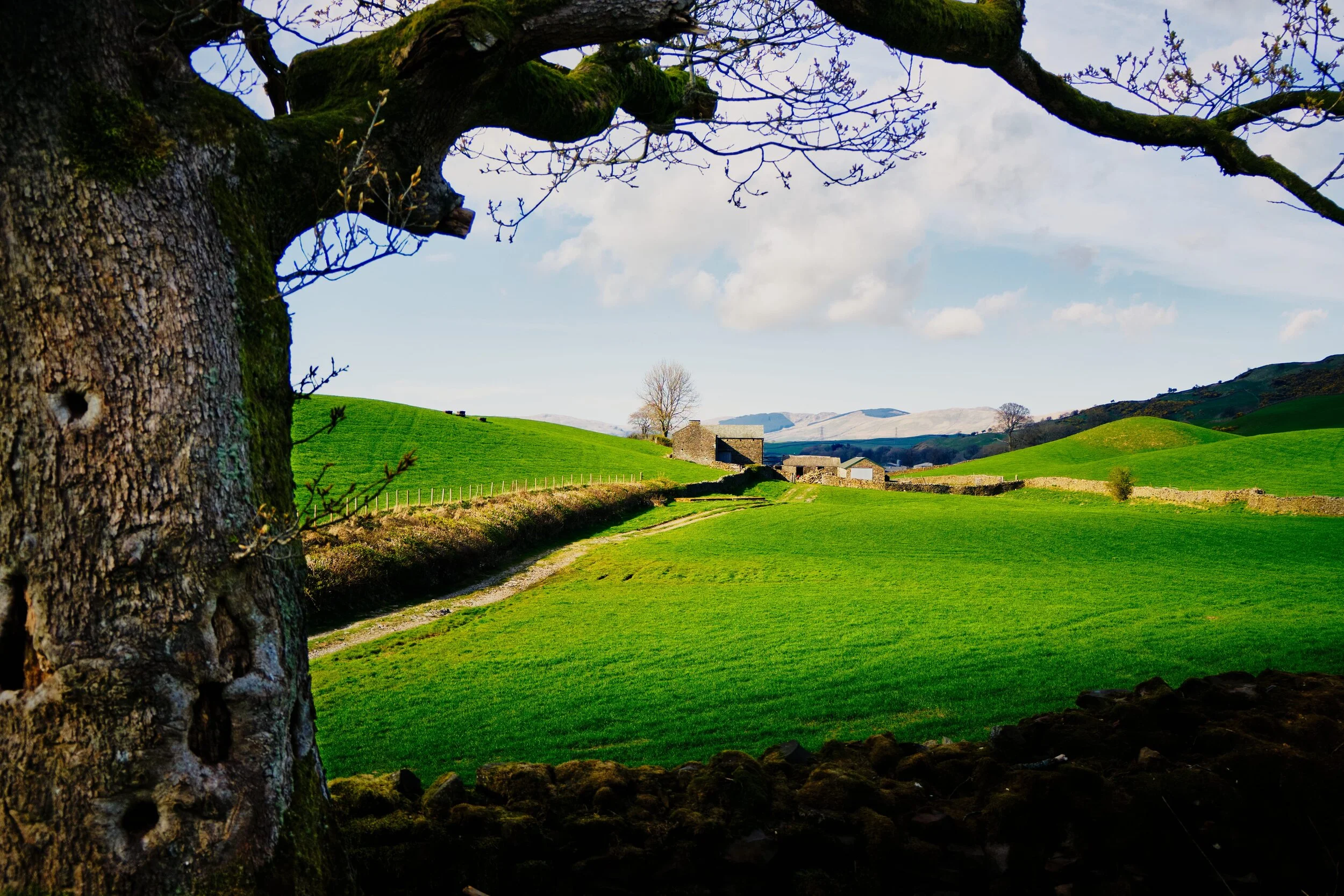 High Jenkincrag Farm with Ashstead Fell (469 m/1,538 ft) in the distance. I liked the framing of this composition.