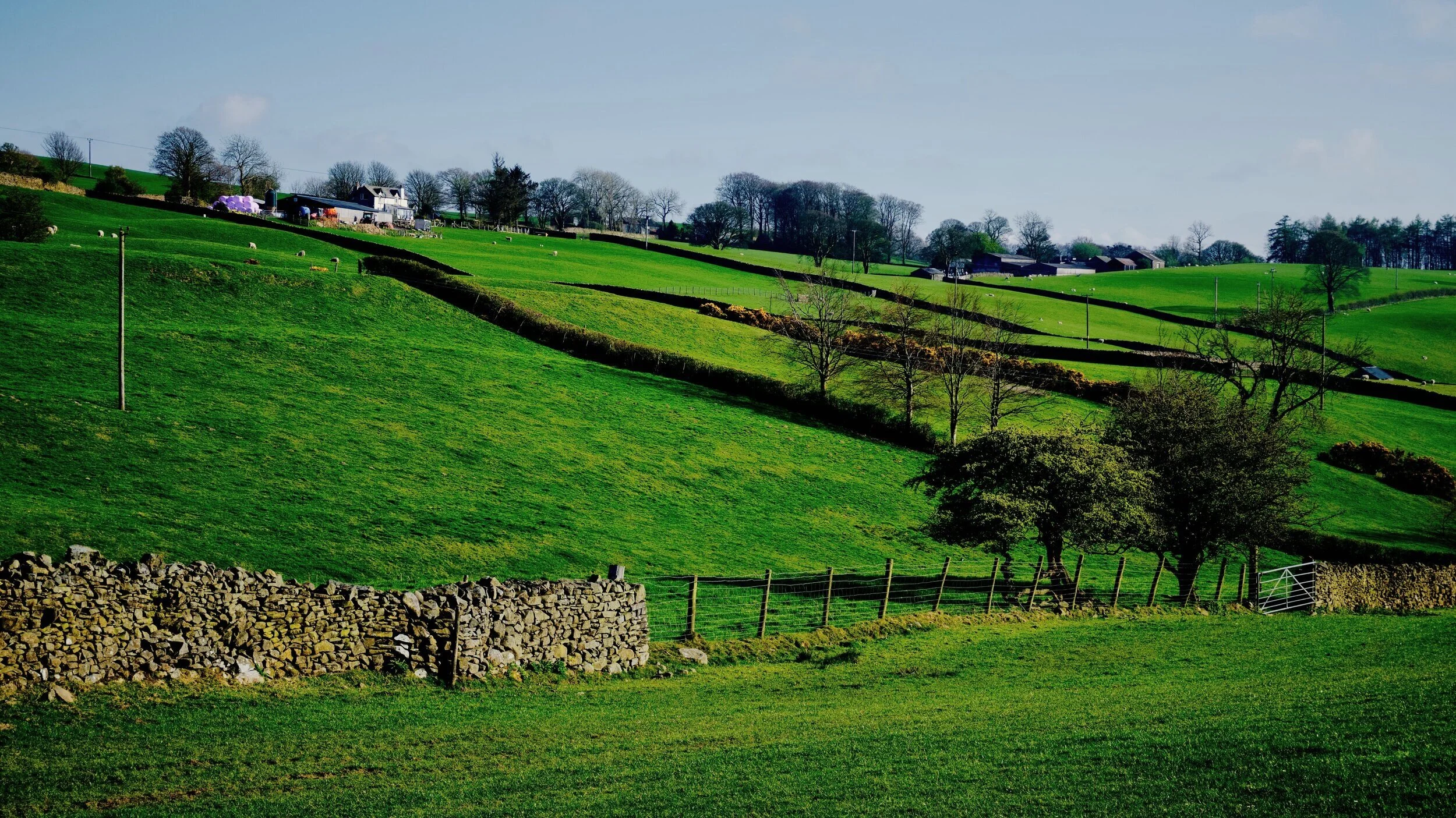 Looking back up at the farms along Paddy Lane from lower down on the Old Sedbergh Road. Love the criss-crossing of all the drystone walls.