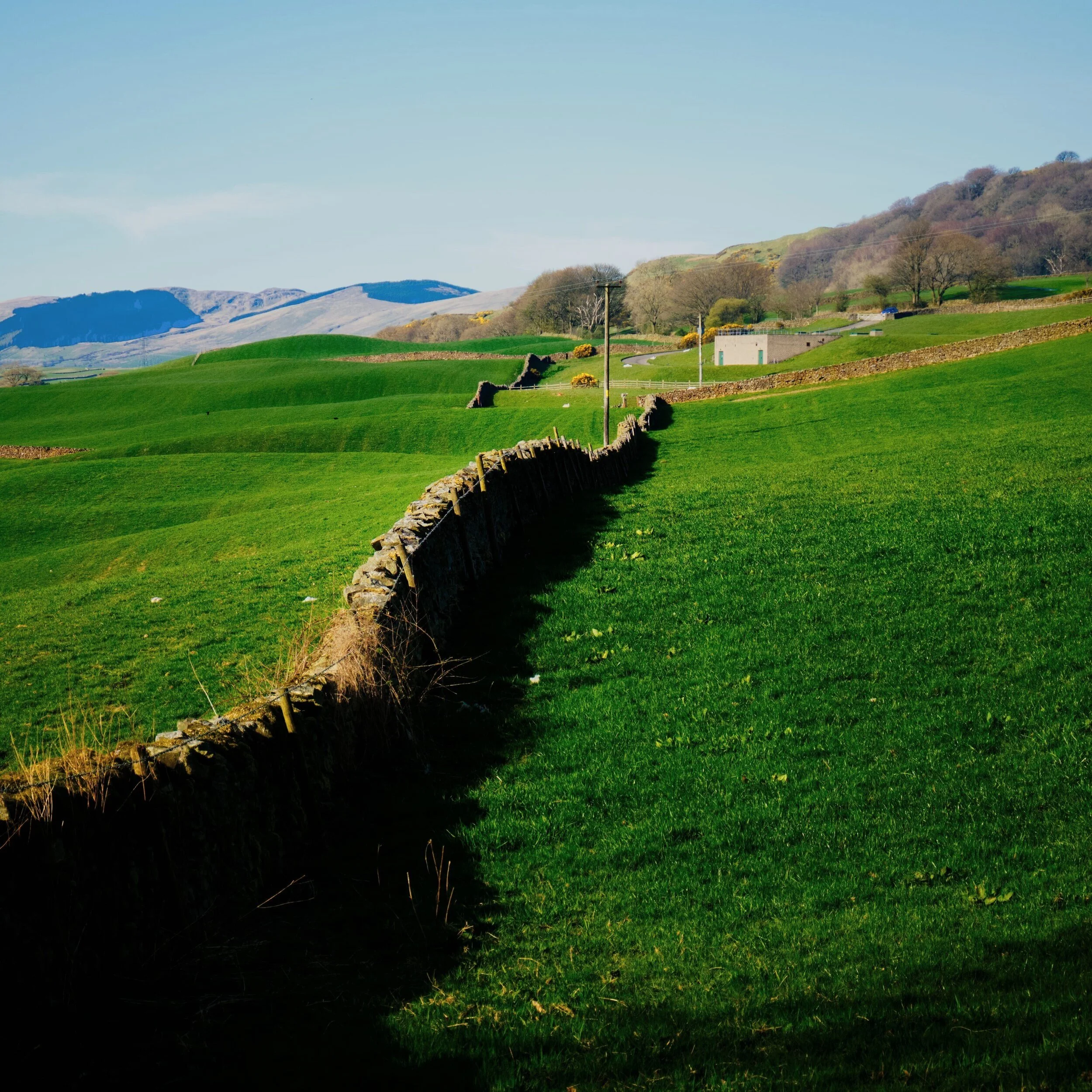 I’m a sucker for a meandering drystone wall, especially if they’re undulating over the folds of the landscape.