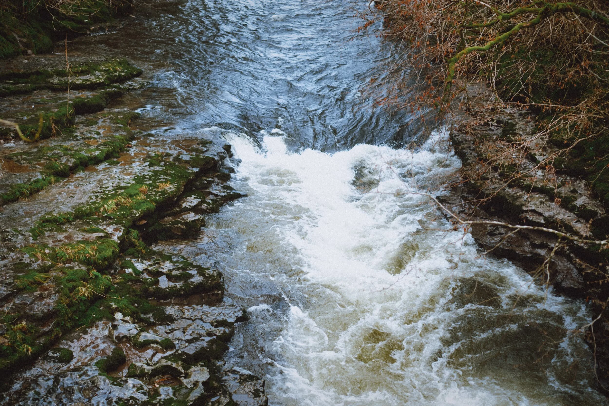  The River Kent was full and raging at Hawes Bridge, where it turns on its side and gouges out this little limestone gorge. 