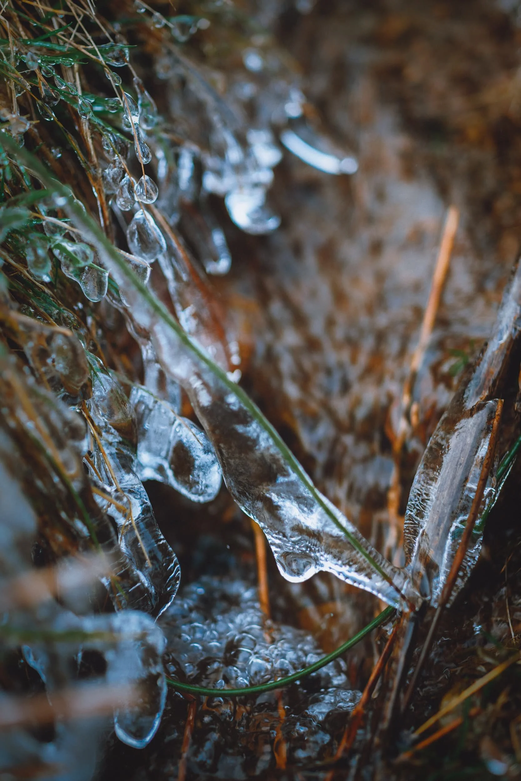 We saw lots of delightful icicle formations by the side of the miner’s track. Miniature worlds of their own.