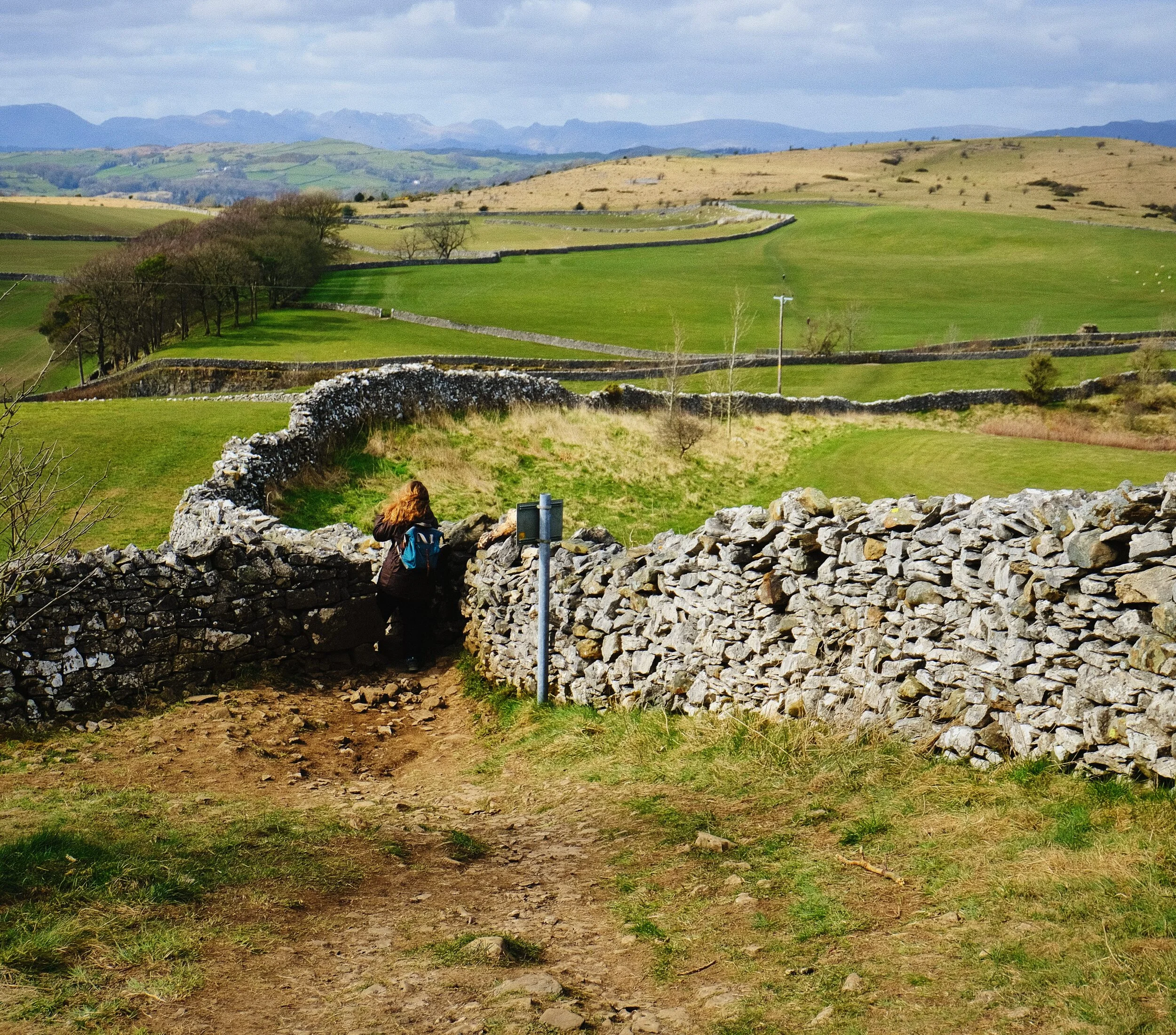 My Lisabet, navigating through a narrow stile in the wall. The yellow fell in the distance on the right is Cunswick Fell, with the jagged peaks in the distance being the Lake District fells.