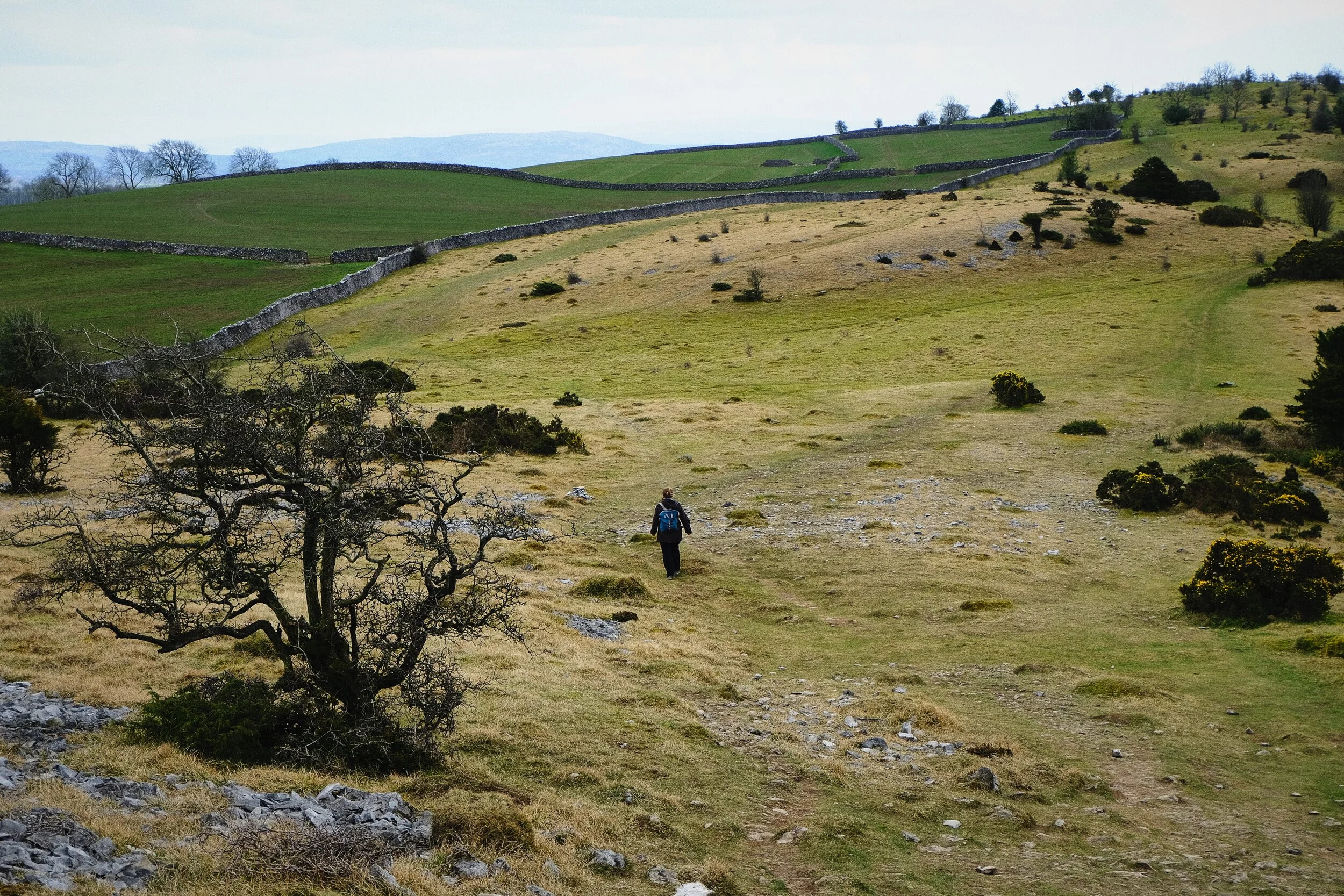 My little Lisabet looking small in the limestone landscape of Cunswick Fell.