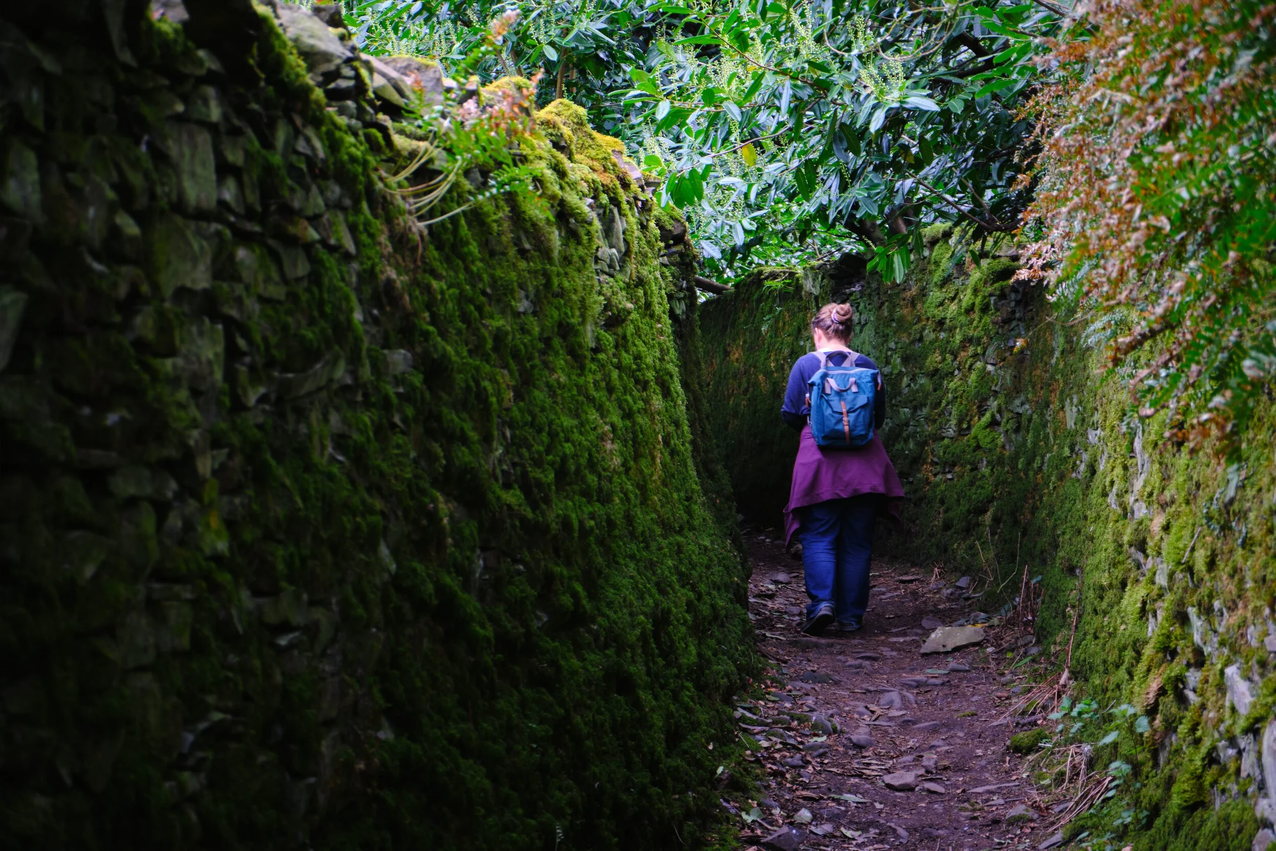 At the junction of Park Side Road and Singleton Park Road you can spot a small lane that runs alongside the grounds of Castle Green Hotel. What we found was a cool, mossy, and quite beautiful lane that leads directly onto the farmland around Singleton Park.