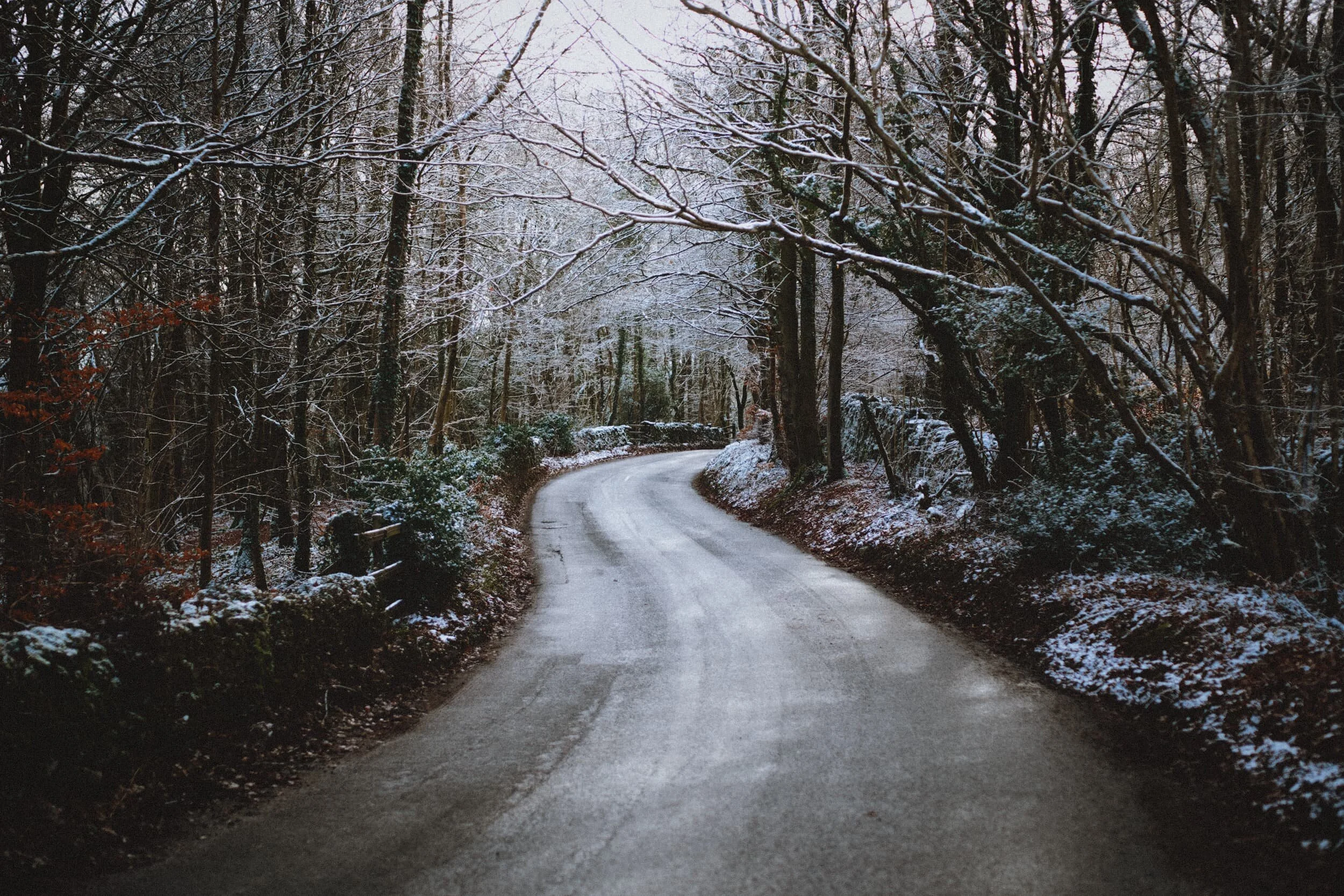 The road through Warriner’s Woods. You can see the stile on the left; this is the way into the woods on foot.