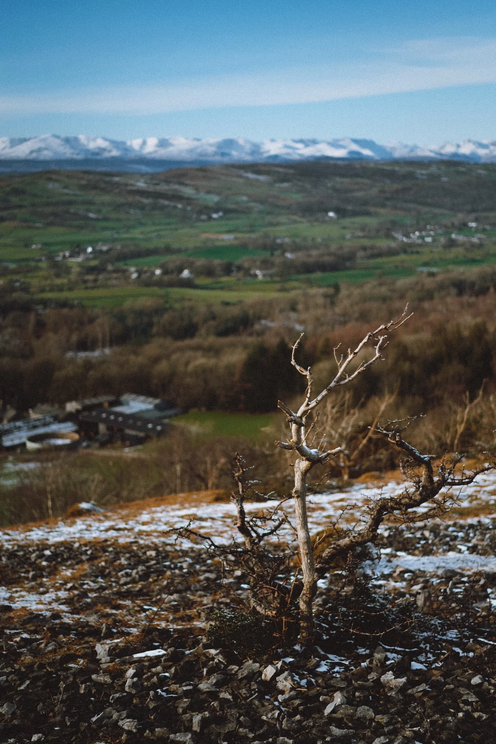 Life… finds a way.