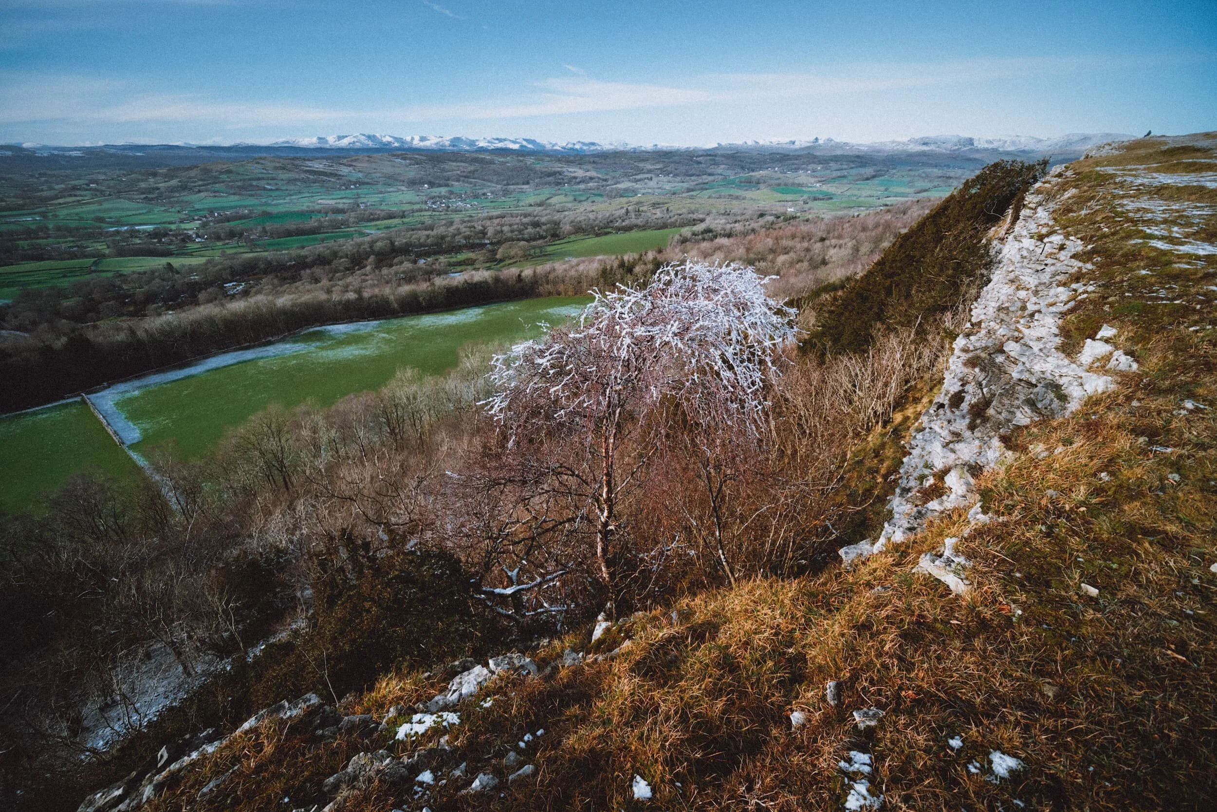 Probably my favourite shot from the day: a little tree growing out of the limestone crags of Scout Scar, still with some frosting on its branches.