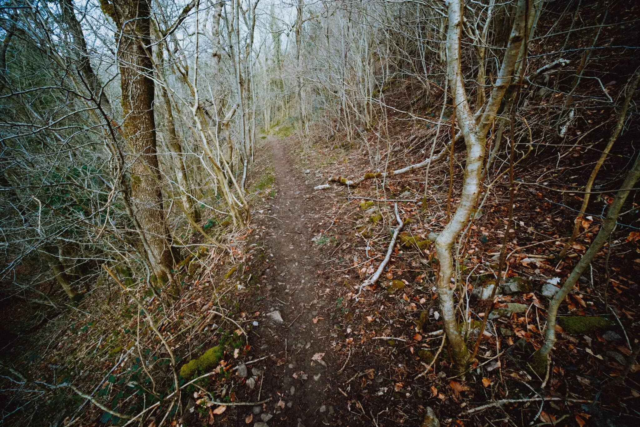 Looking back the way we came. Can’t wait for this to start looking a lot greener. After reaching the top of Cunswick Scar, we were not prepared for what we saw across the Lyth Valley…