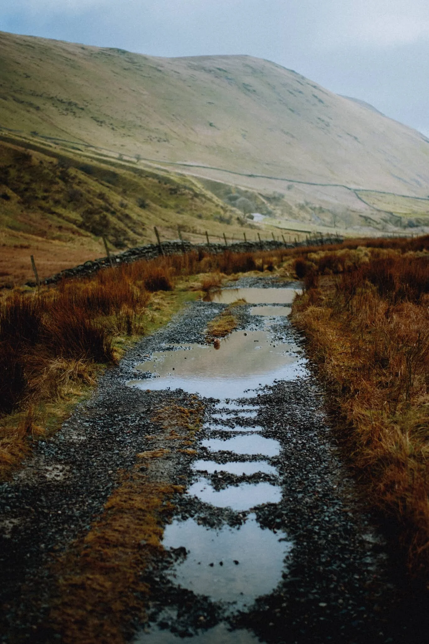 Still plenty of water about in the valley, with lots of puddles giving me an opportunity to snap some reflections. Here&rsquo;s one of Winterscleugh (464 m/1,523 ft). 