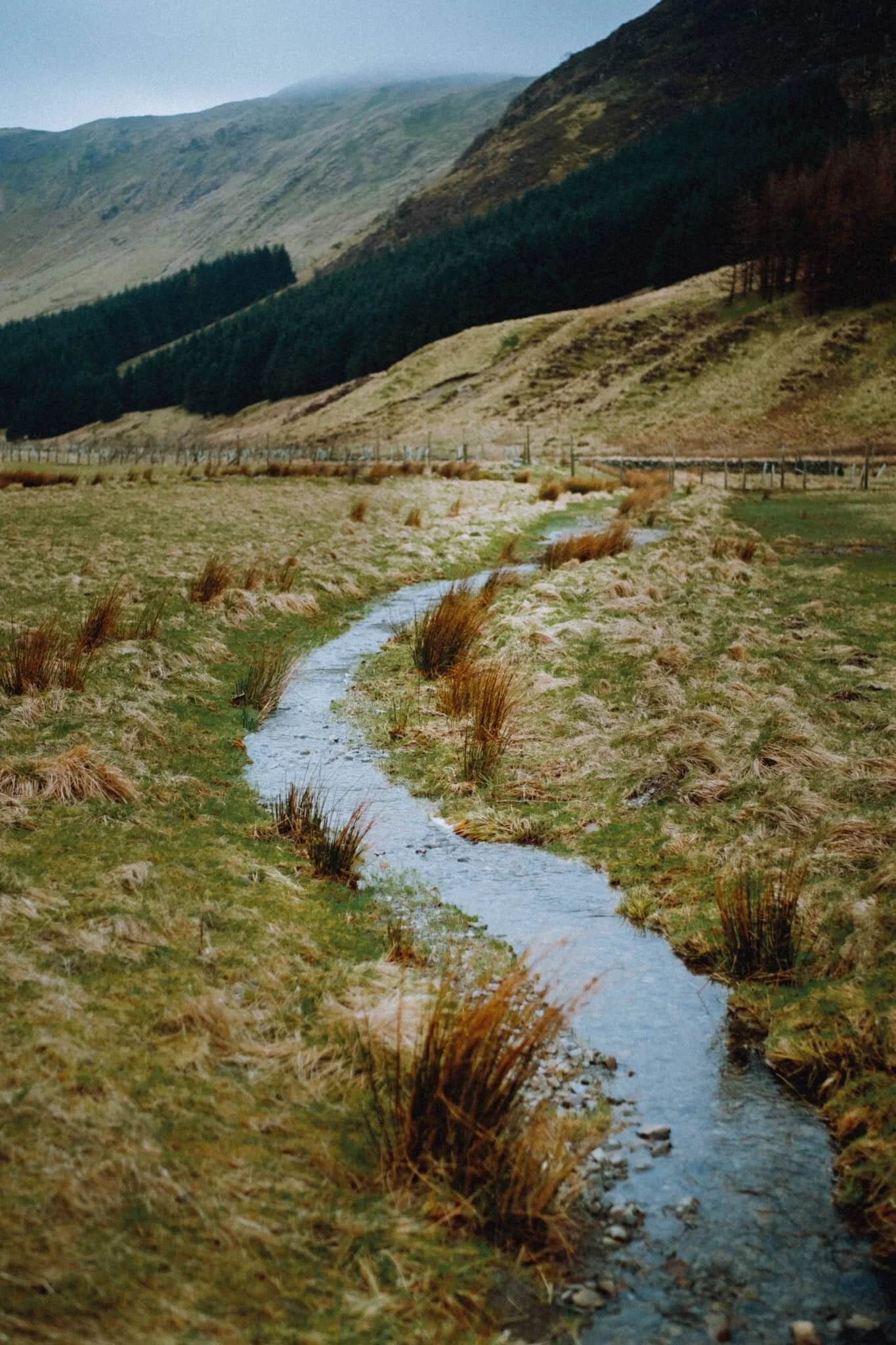  At least the smaller becks were full of water. 