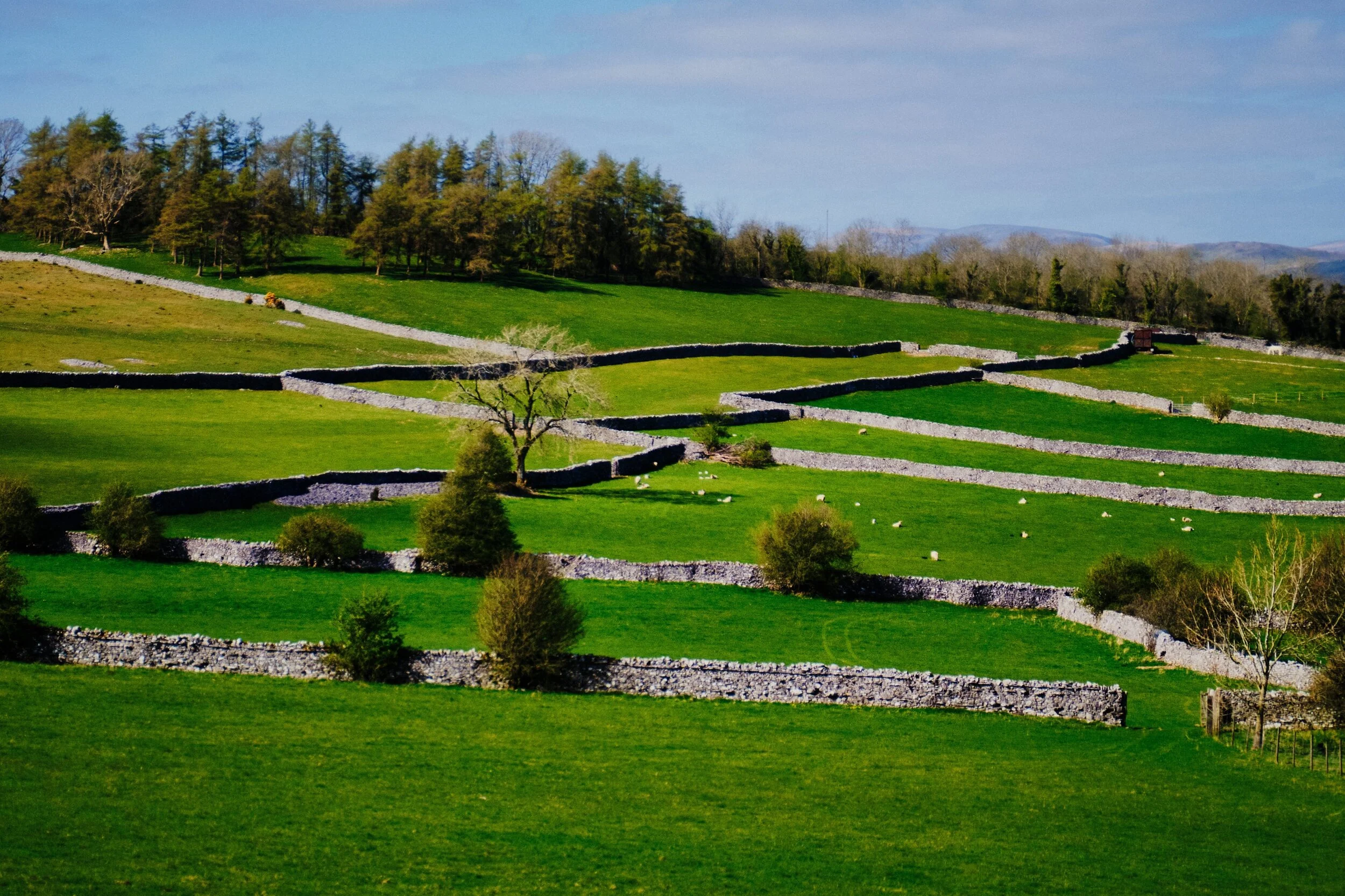 I love the criss-crossing of drystone walls.