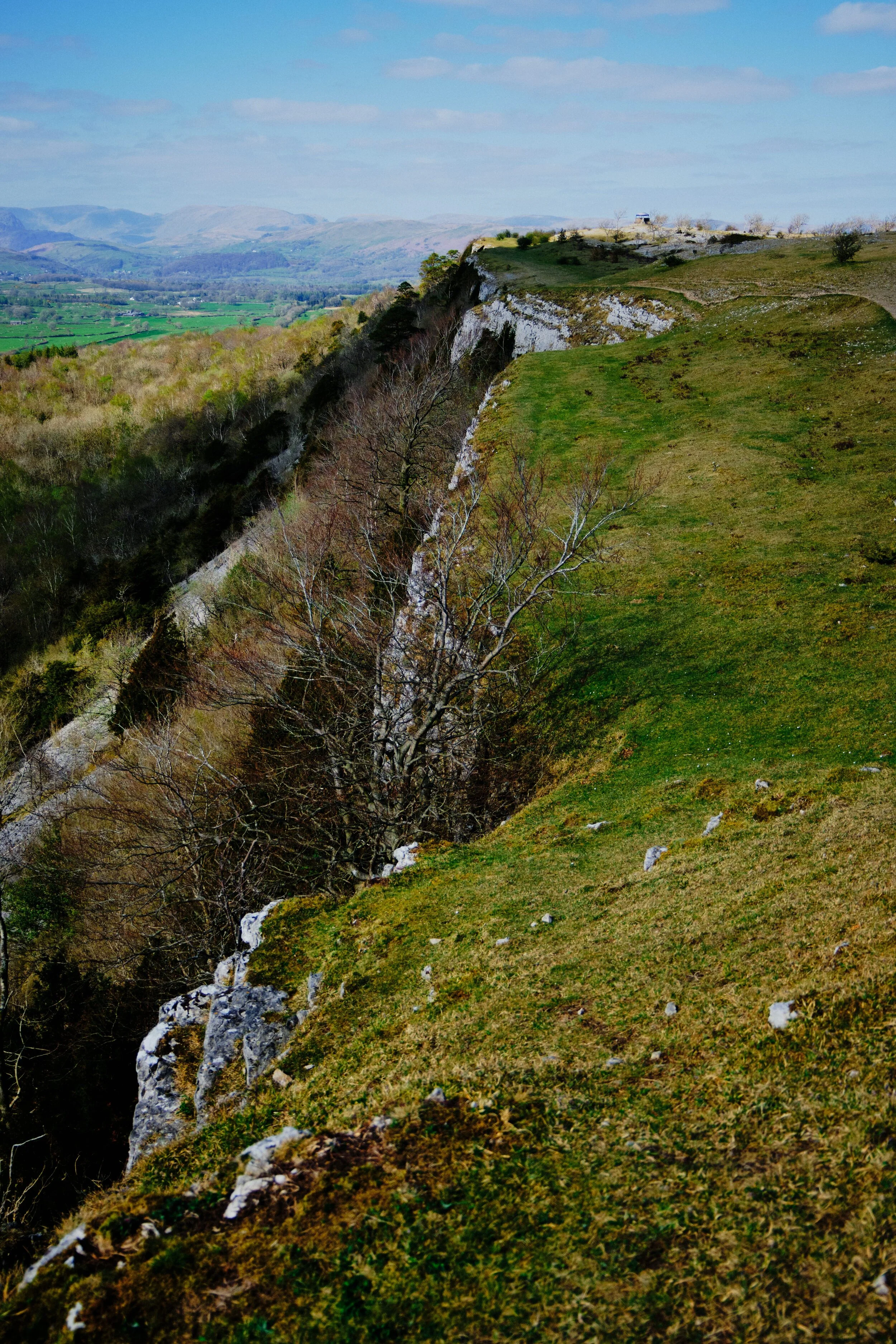 Following the line of the limestone escarpment all the way north.