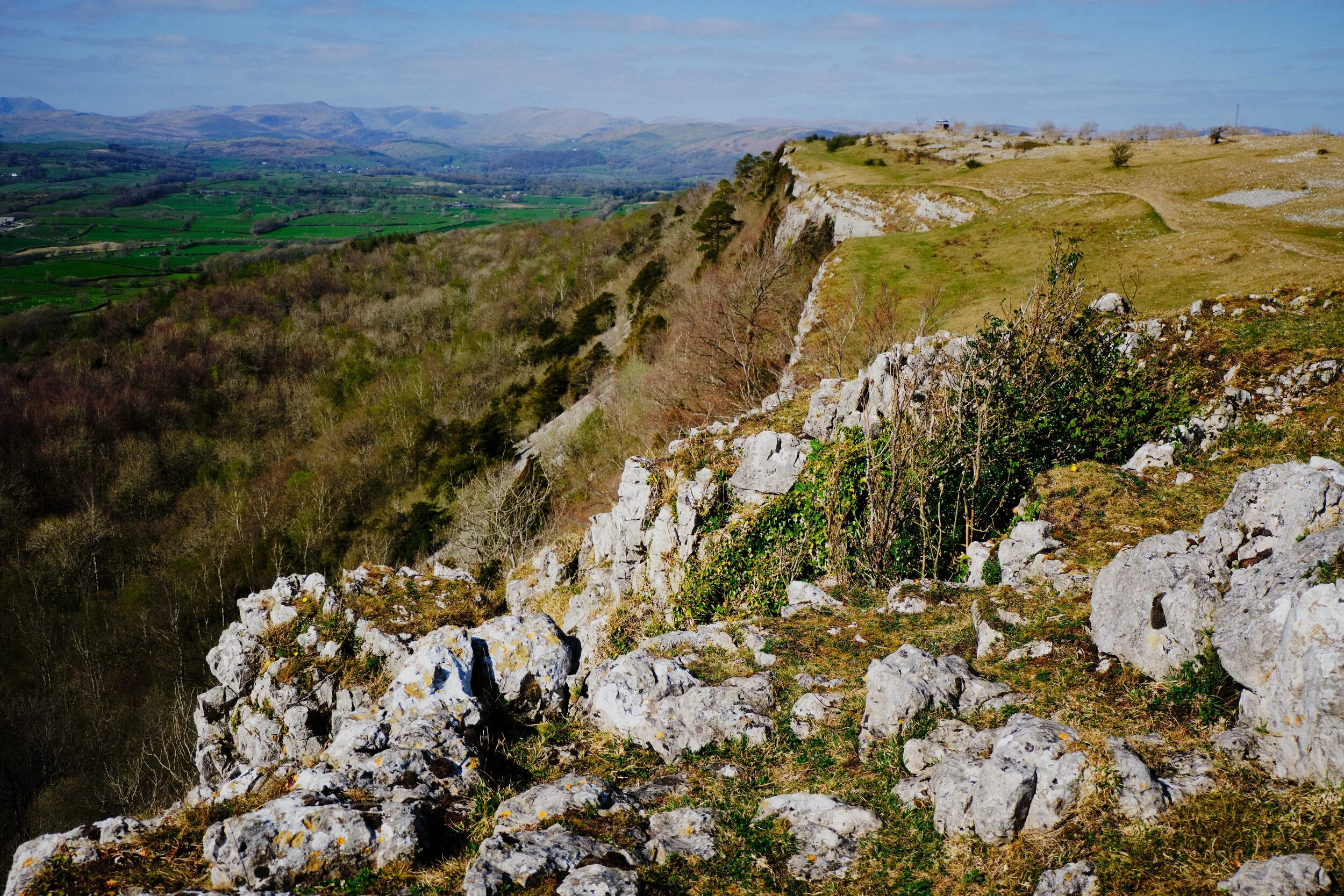 The limestone cliff of Scout Scar, which suddenly drops 100 ft or so down into the Lyth Valley.