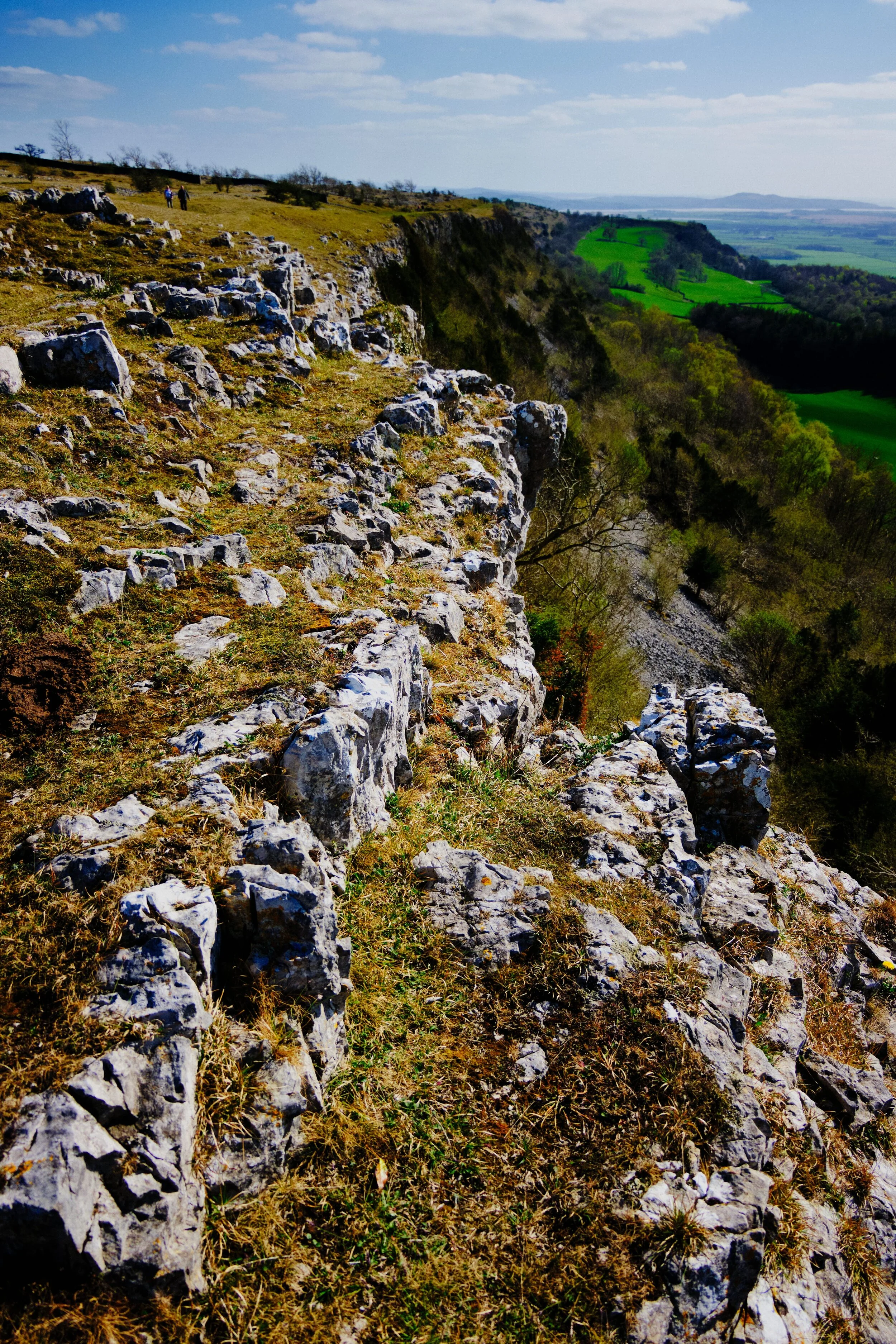 The northwards limestone escarpment of Scout Scar. You can just about make out the sea of Morecambe Bay to the right.