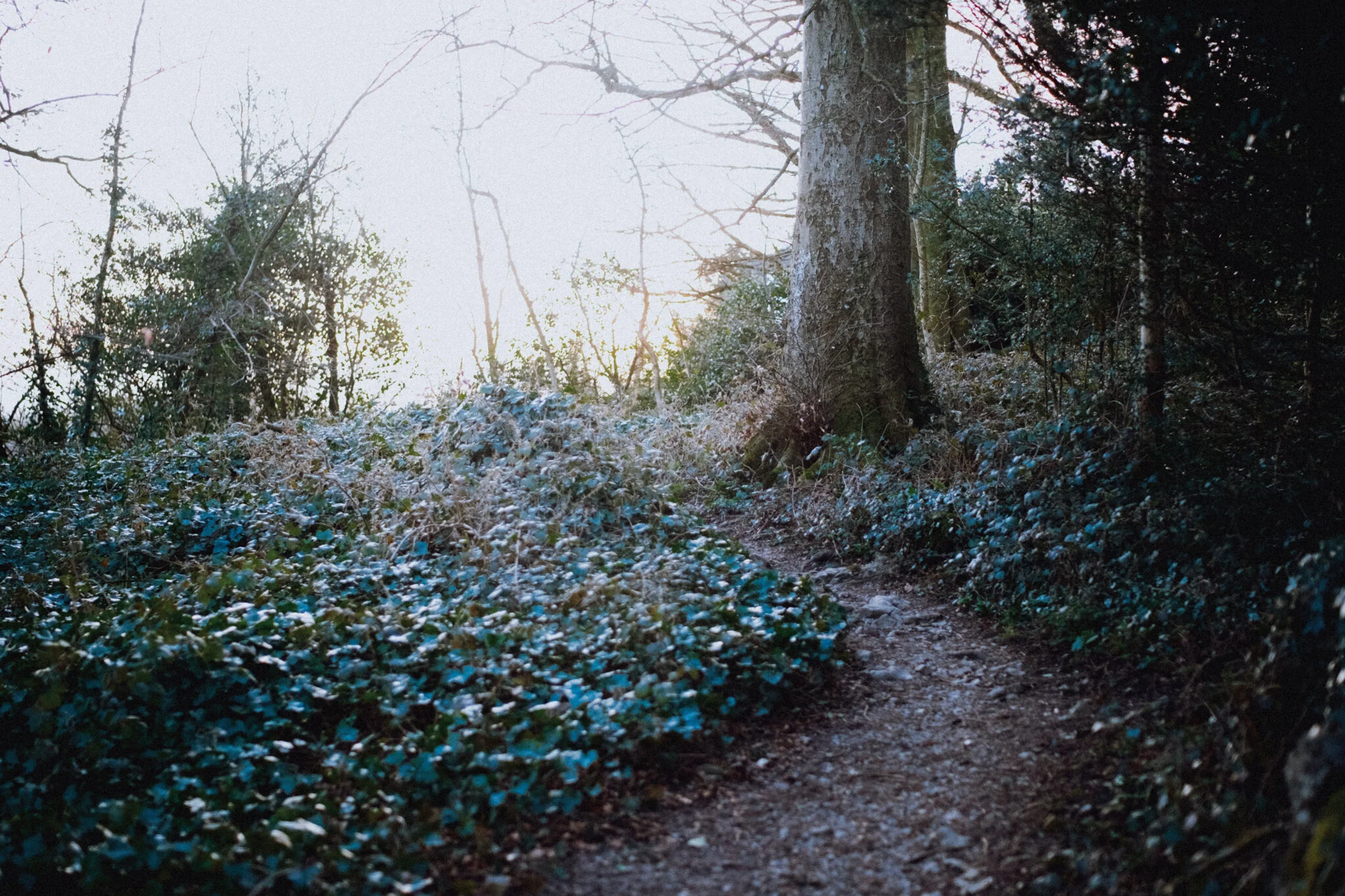 There was a time when I was overly concerned with achieving maximum exposure in my photos, attempting to capture as much highlight and shadow information as possible. Then later, a variety of complex editing and blending methods would be used to eke out as much dynamic range in an image as possible. These days, I’m much content to let a blown out highlight remain so, especially when shooting right into the sun. It’s the sun, of course it’s bright.