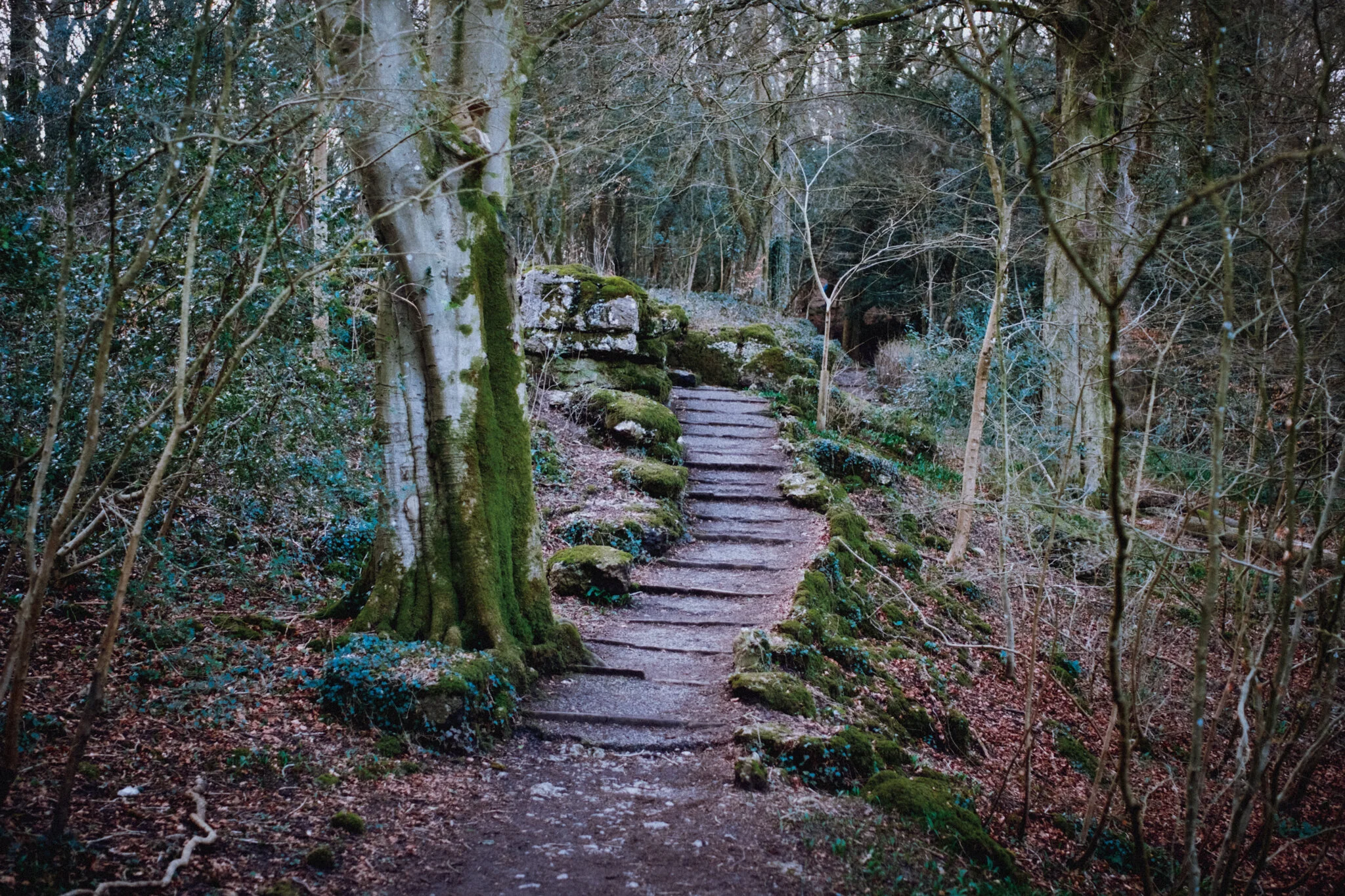 Serpentine Woods is filled with charming little scenes like this.