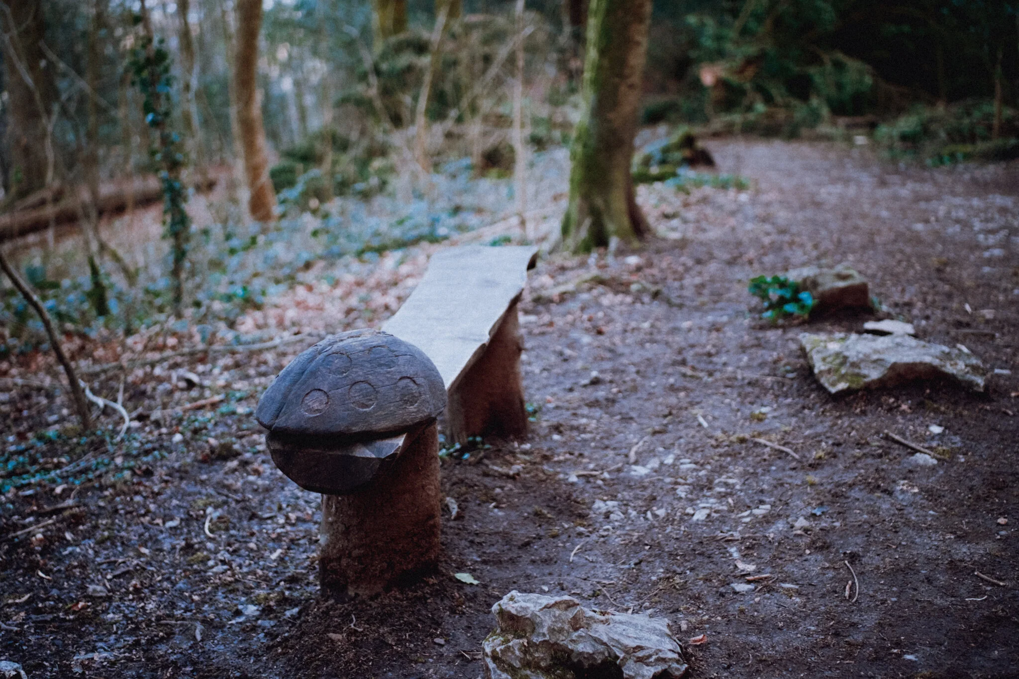 One of the aforementioned sculptures: a ladybird on the edge of a bench.