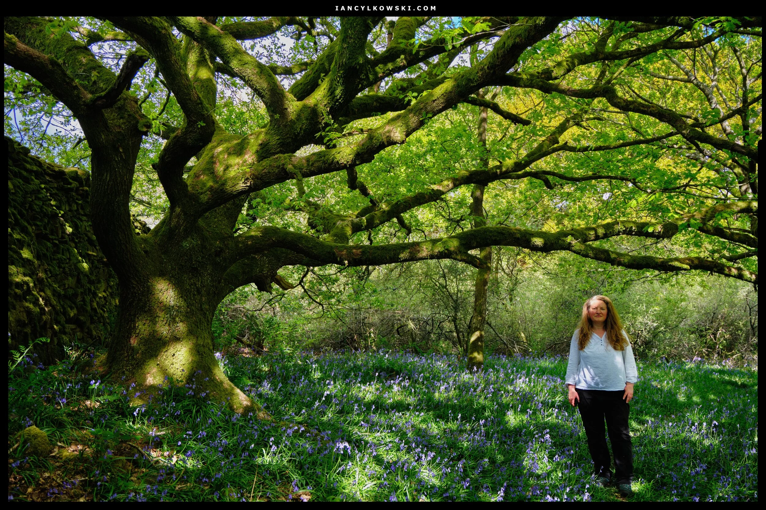 This is actually a rare image, because my lovely Lisabet actually  requested  to be photographed! So here she is, looking beautiful as always next to my favourite in these woods. 