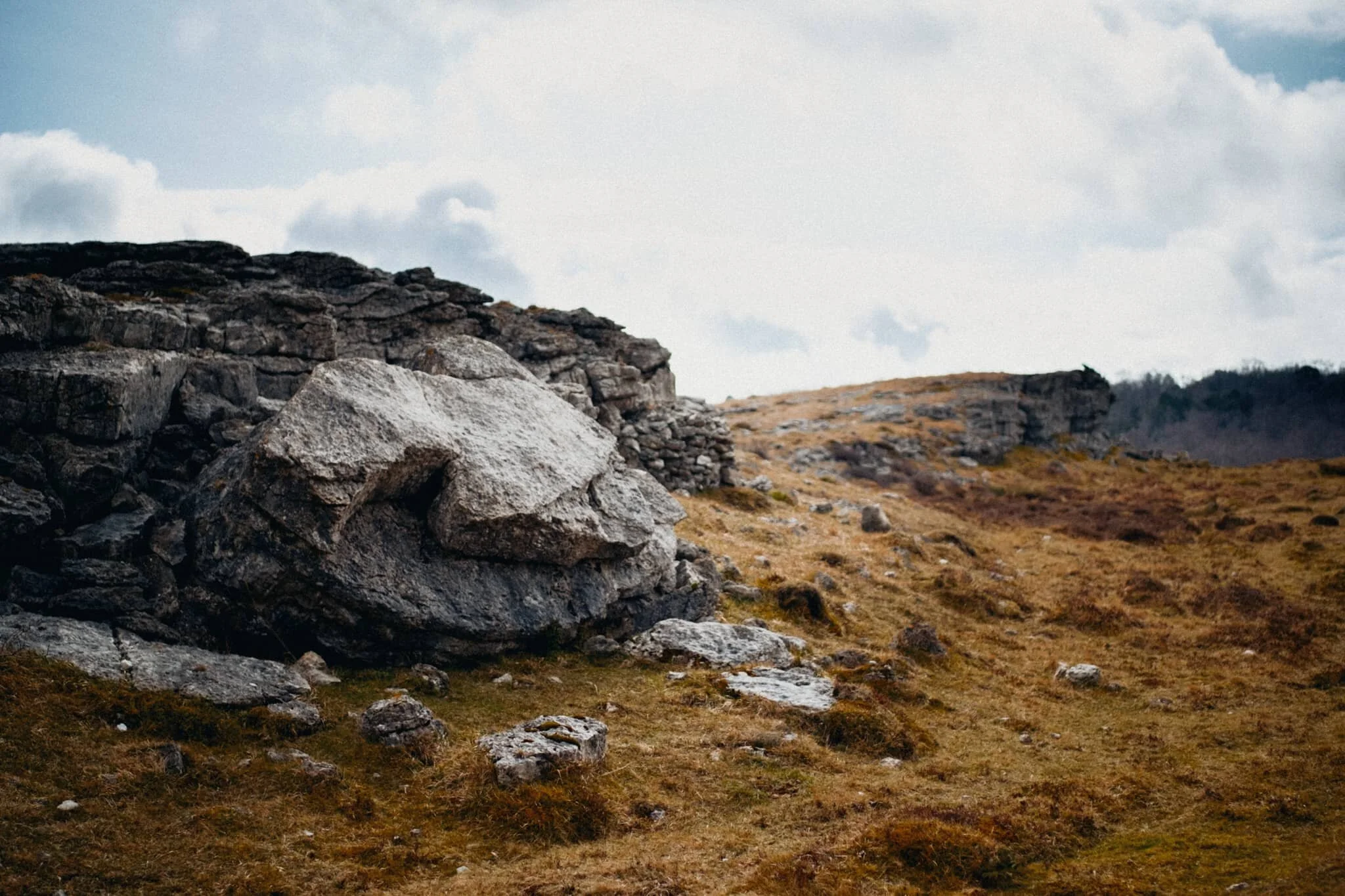  From the woodland near The Row known as the Township Plantation, we branched off west towards the cliffs of Whitbarrow Scar. We wanted to see what the views towards the Lake District fells were like. 