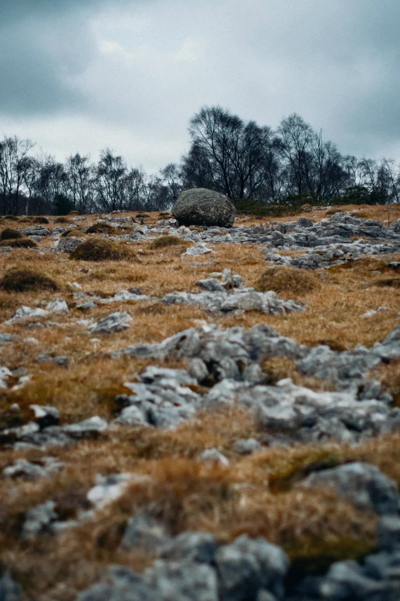  One of many glacial erratics around Whitbarrow, physical testament to the fell&rsquo;s ice age history. 