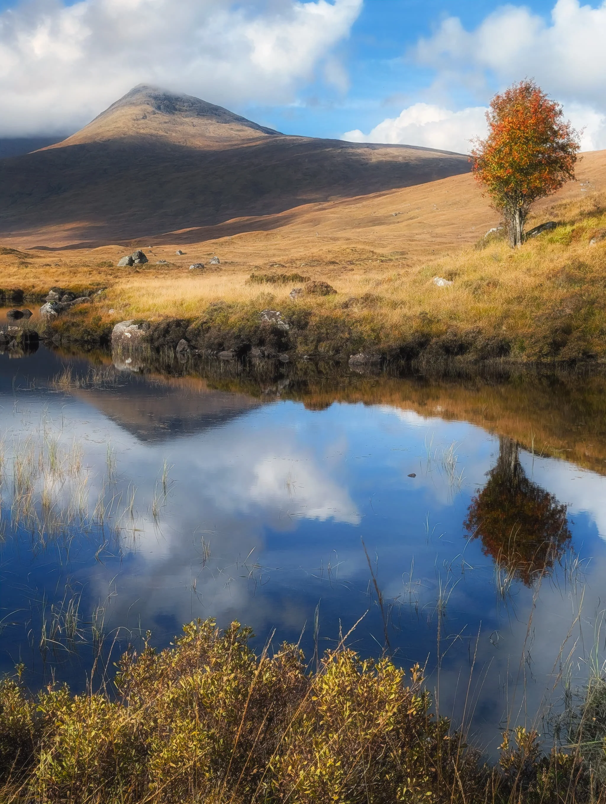  On the other side of the road from Loch Bà is another, smaller, loch system:  Loch na Stainge . We followed the vague trail/desire line around the loch shore, seeking compositions. I managed to nab this one of a solitary rowan tree with  Meall a&rsquo; Bhùiridh  (1,108 m/3,635 ft) in the distance, both reflected in the loch. 