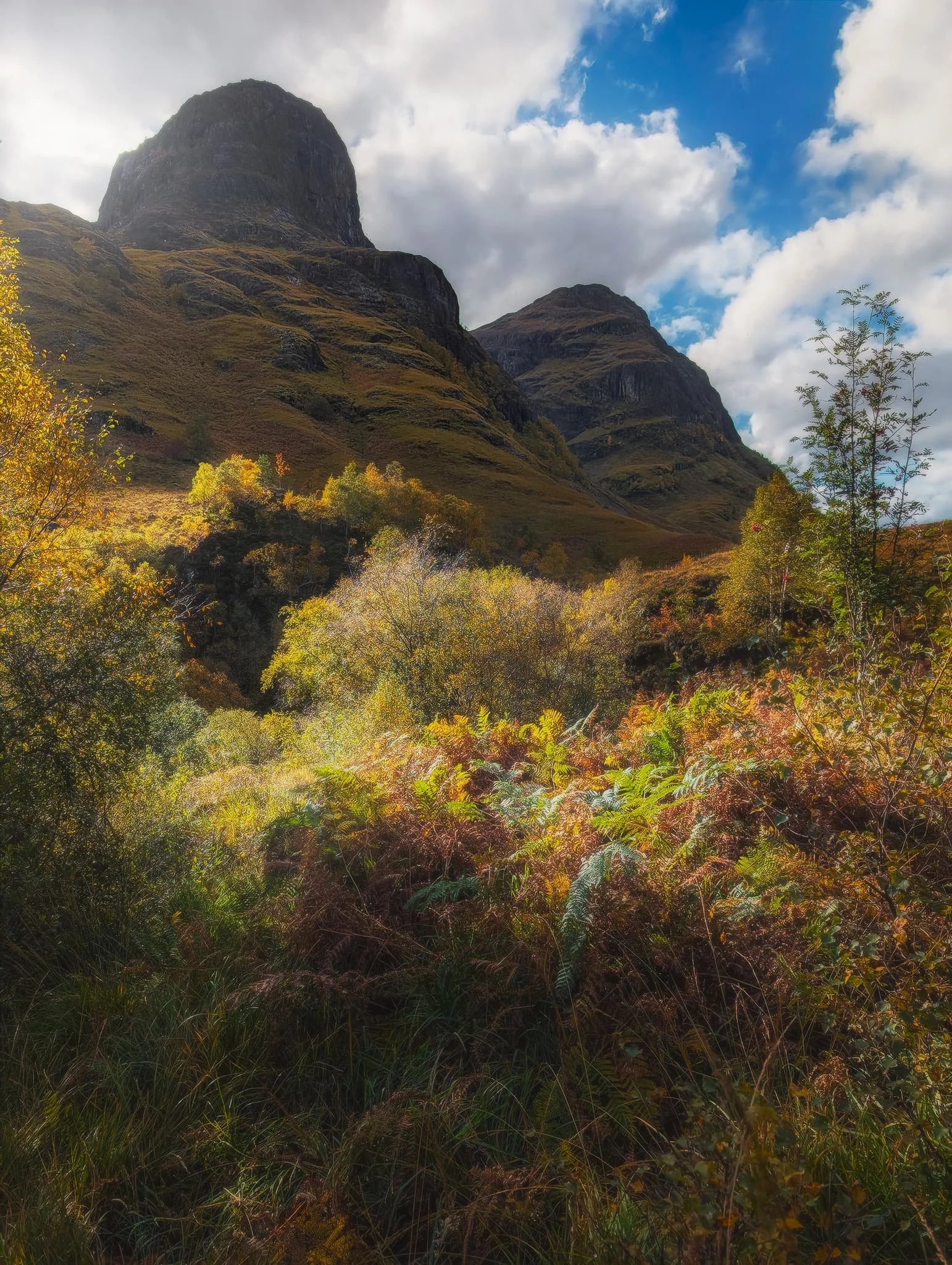  Further down the valley two of the three sisters punch the sky like knuckly fists, looming above the autumnal ferns. On the left is  Geàrr Aonach  (692 m/2,270 ft) and on the right is  Aonach Dubh  (892 m/2,926 ft).  