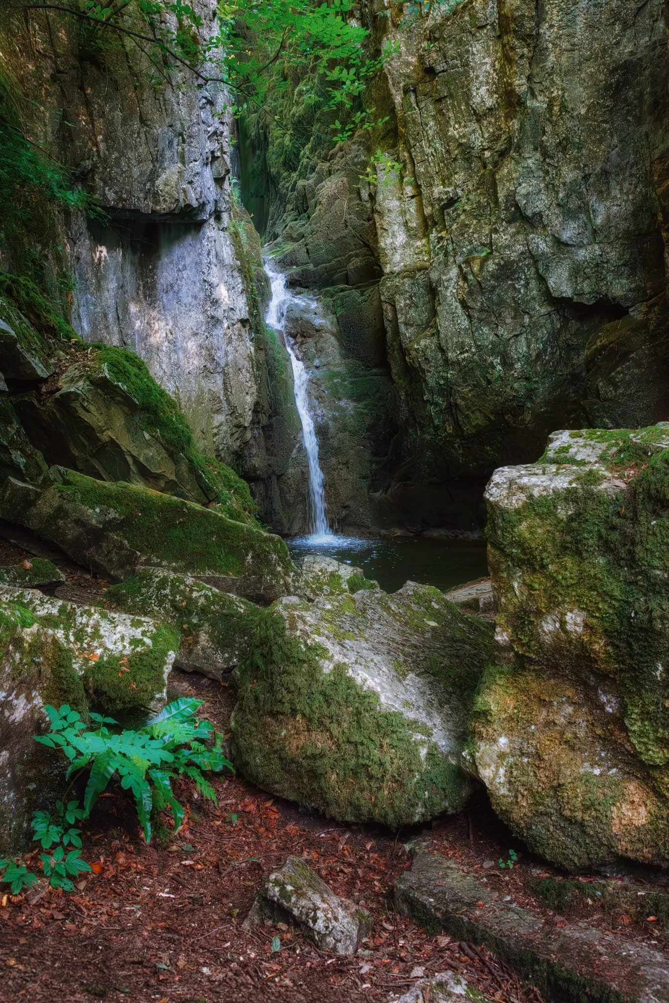  Probably one of the best shots I&rsquo;ve ever got of Catrigg Force. 